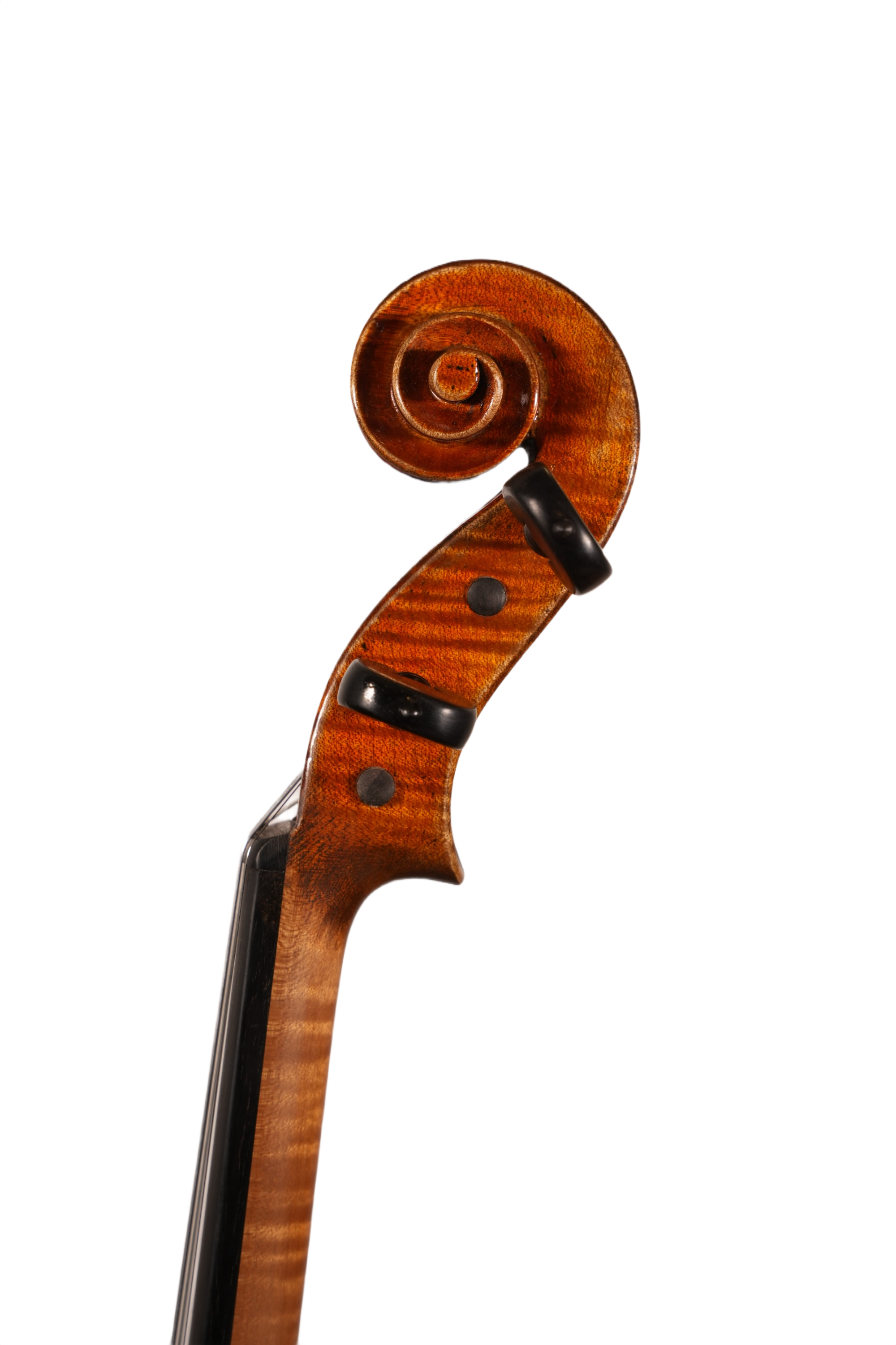 4/4 Violin Outfit - LS Model D5