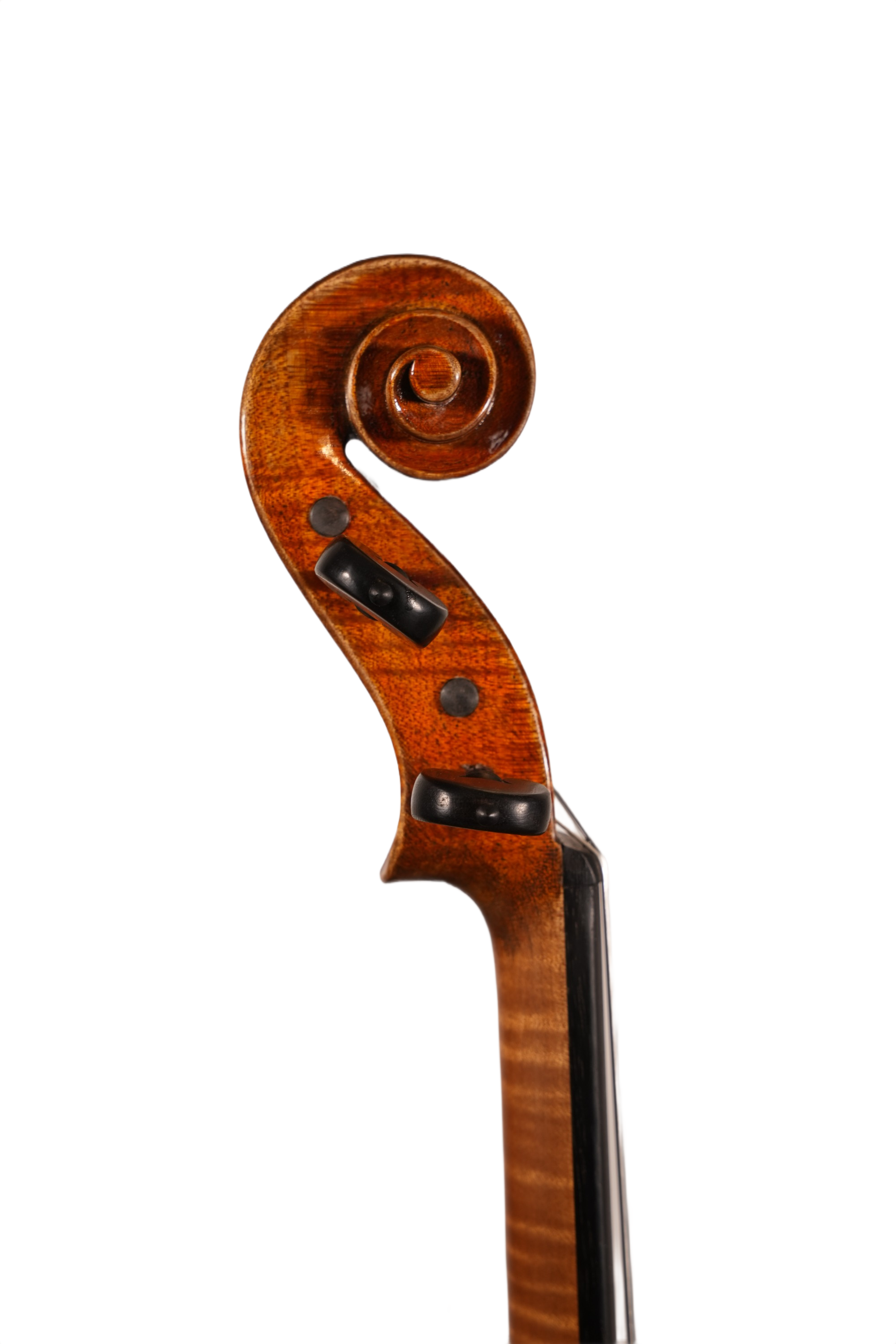 4/4 Violin Outfit - LS Model D5