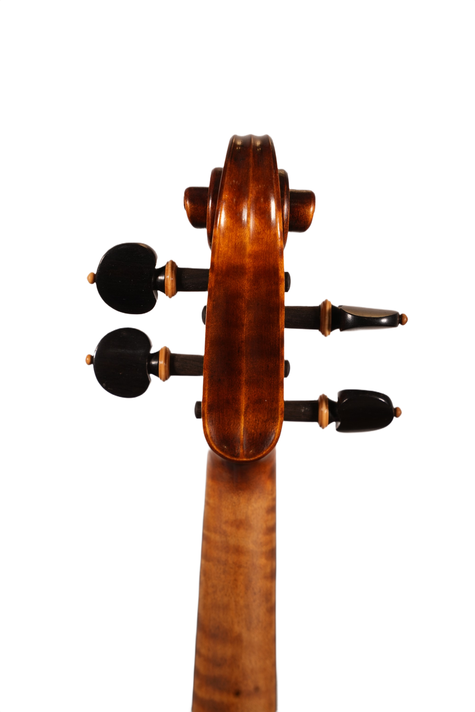 4/4 Violin Outfit - Petko Stoinov (Kazanlak, anno. 2025)