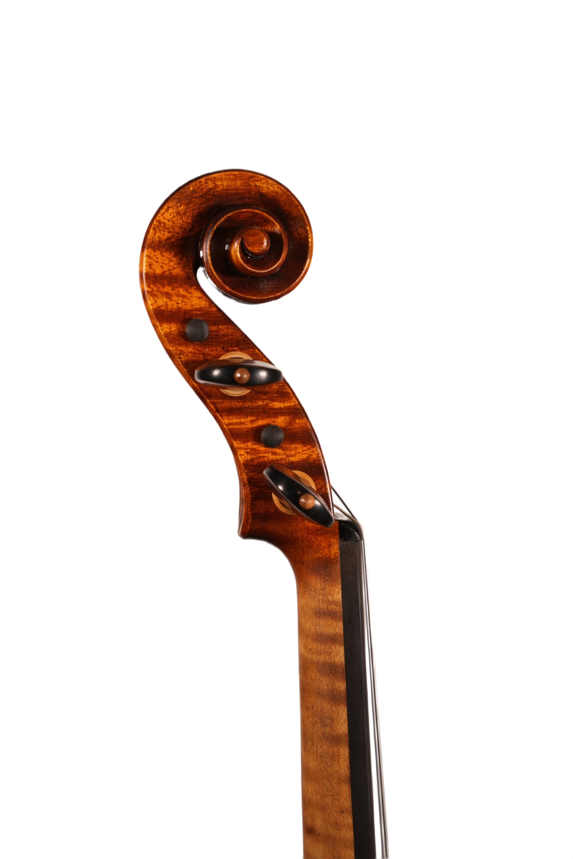 4/4 Violin Outfit - Petko Stoinov (Kazanlak, anno. 2025)
