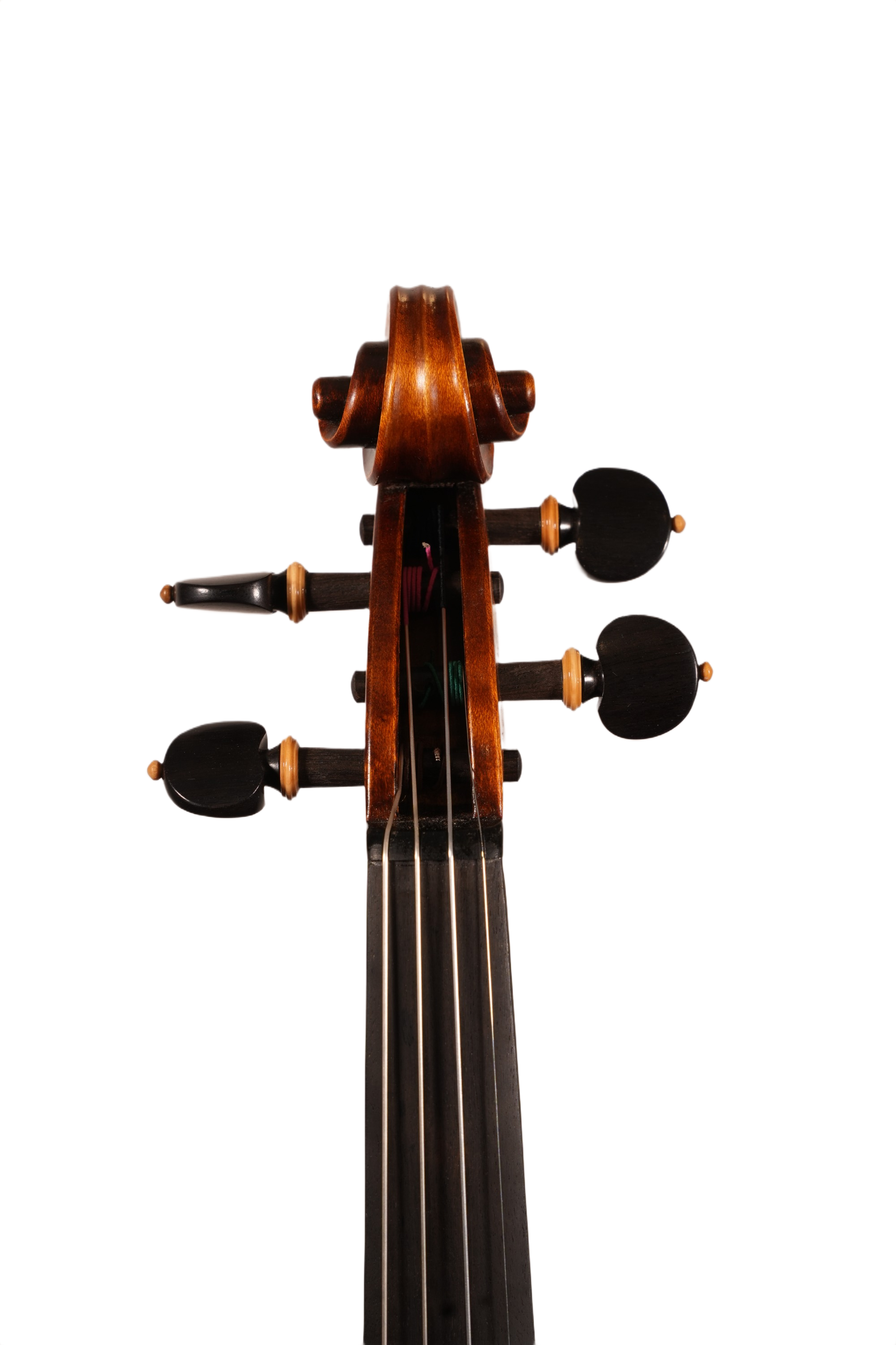 4/4 Violin Outfit - Petko Stoinov (Kazanlak, anno. 2025)