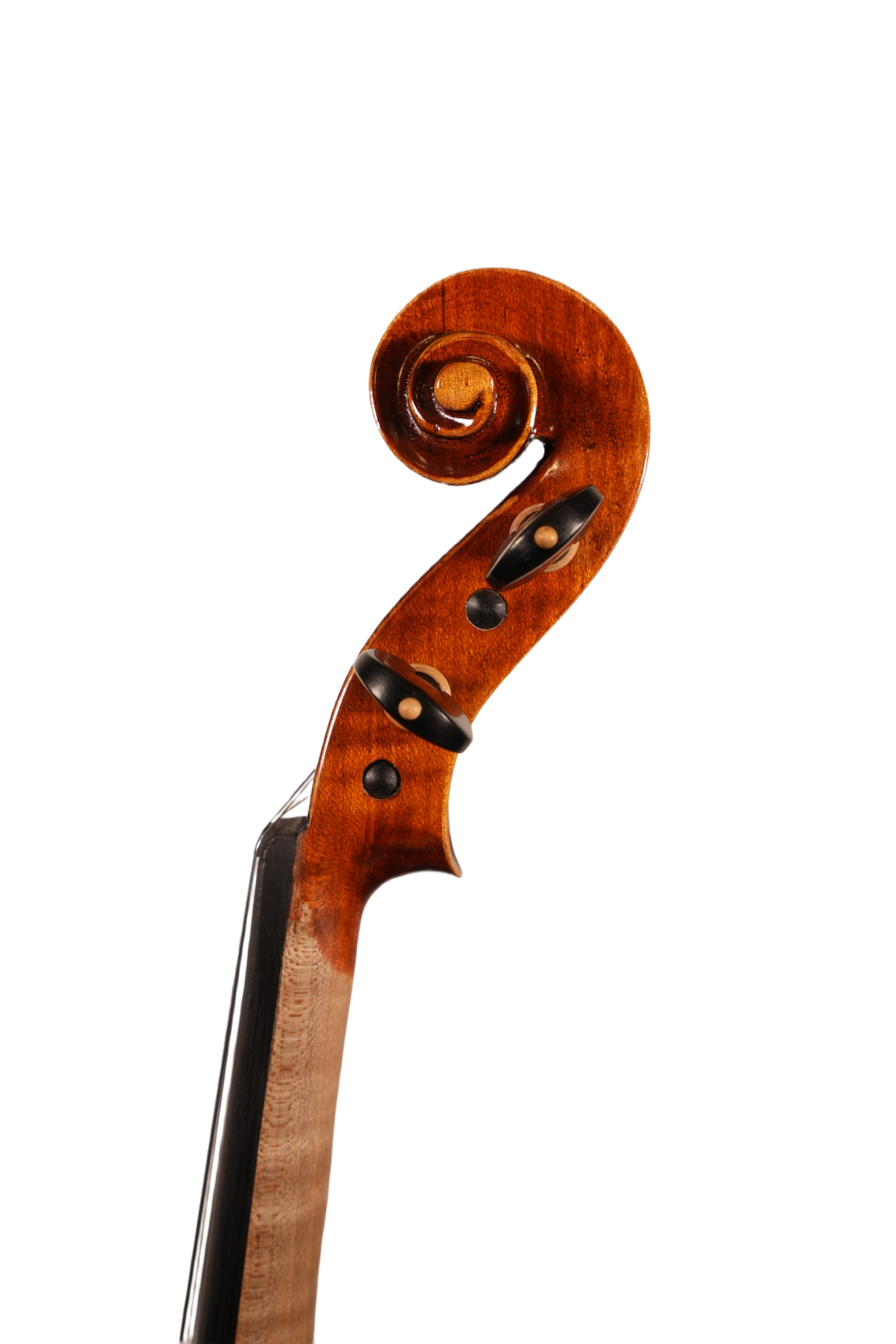 4/4 Violin Outfit - LS Model ME