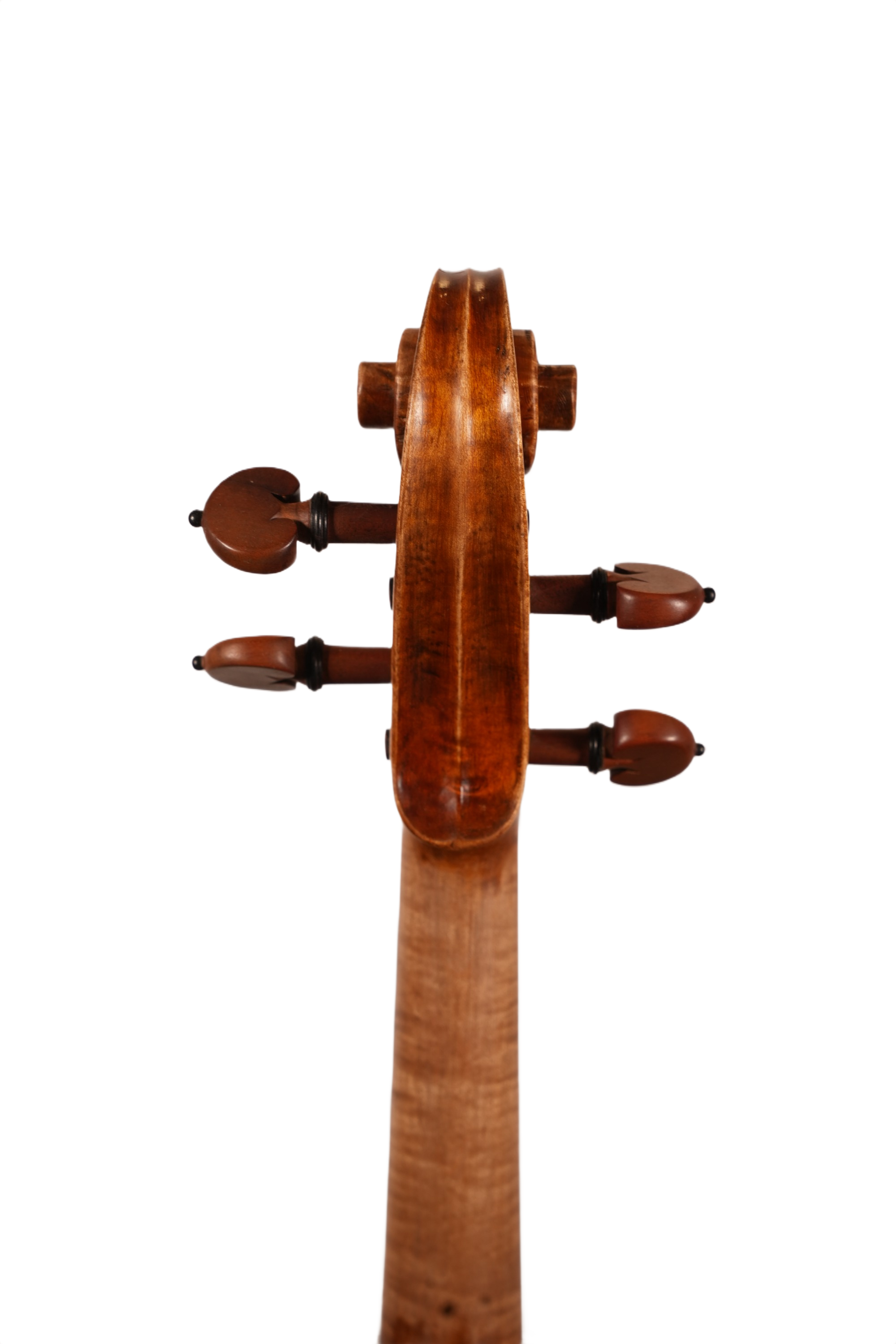 4/4 Violin Outfit - Sandro Luciano (2020)