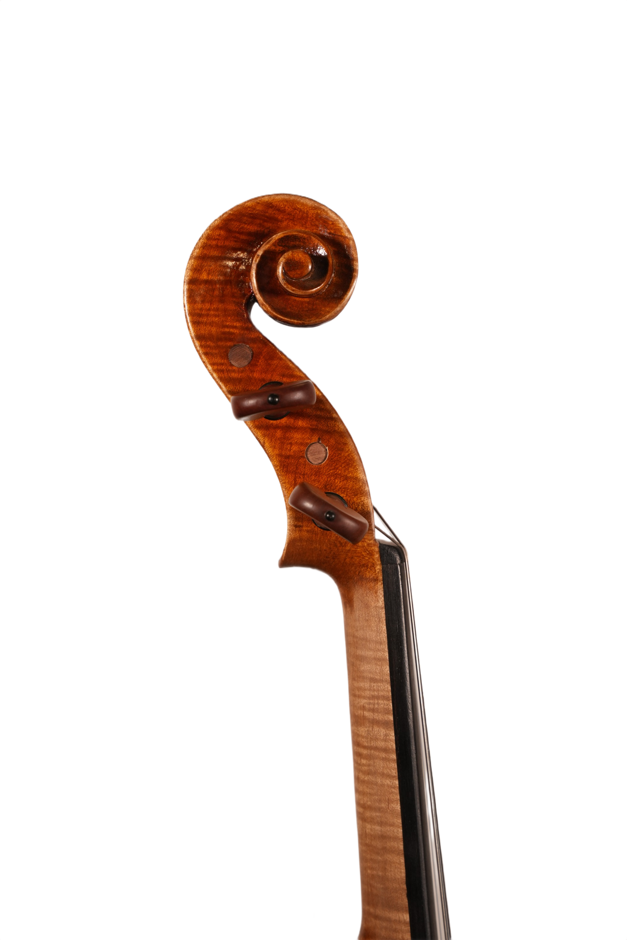 4/4 Violin Outfit - Sandro Luciano (2020)