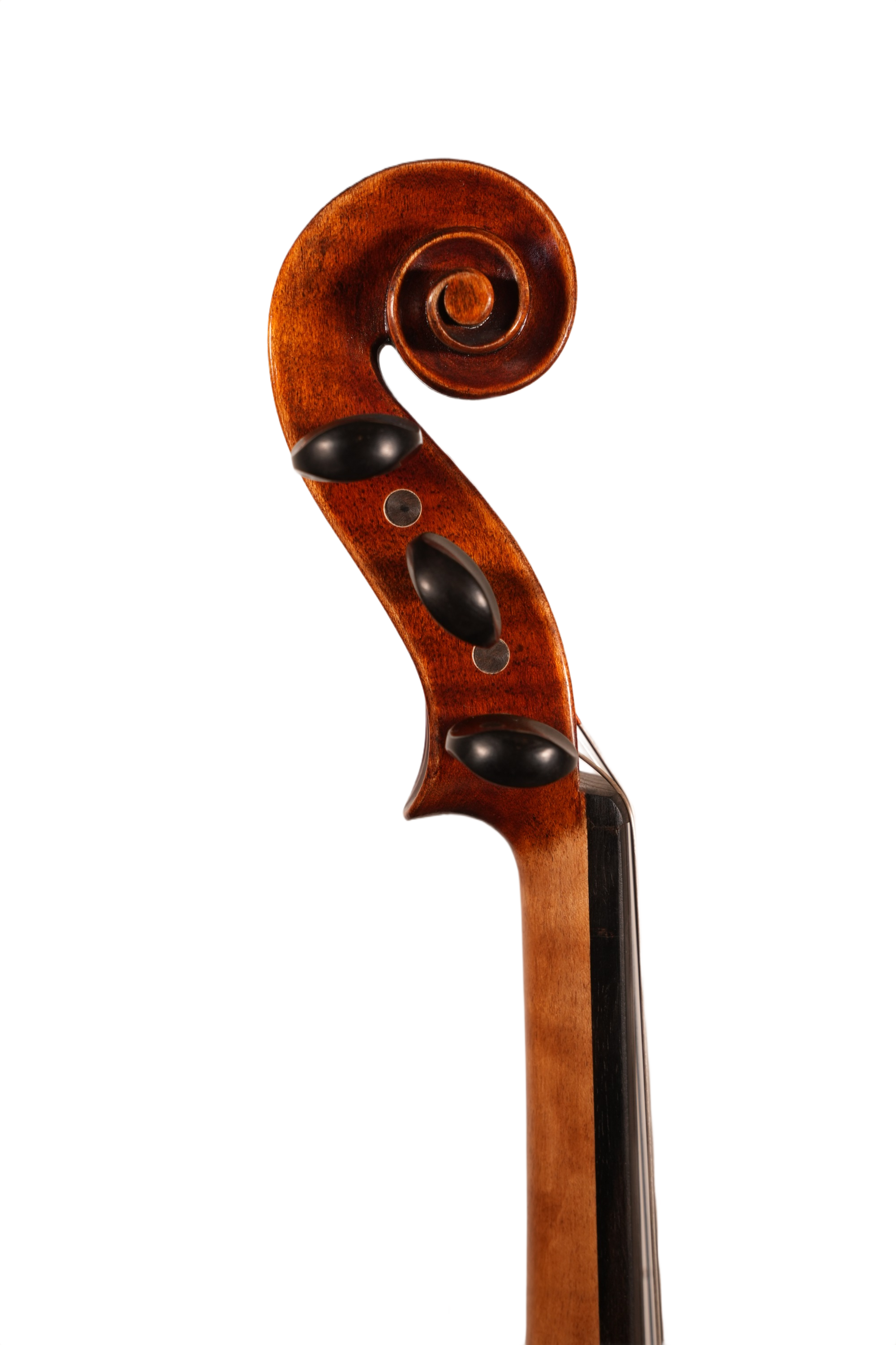 4/4 Violin Outfit - 5 String