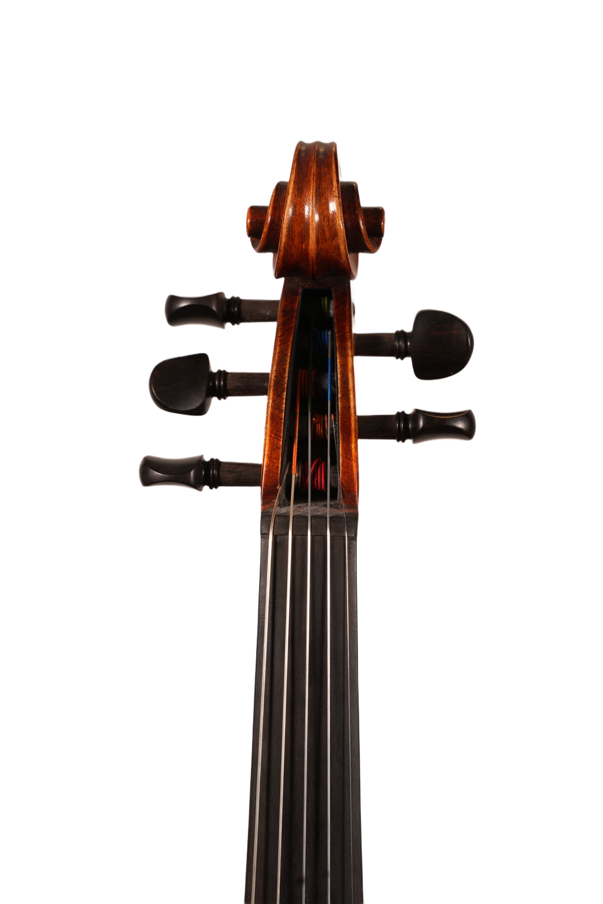 4/4 Violin Outfit - 5 String