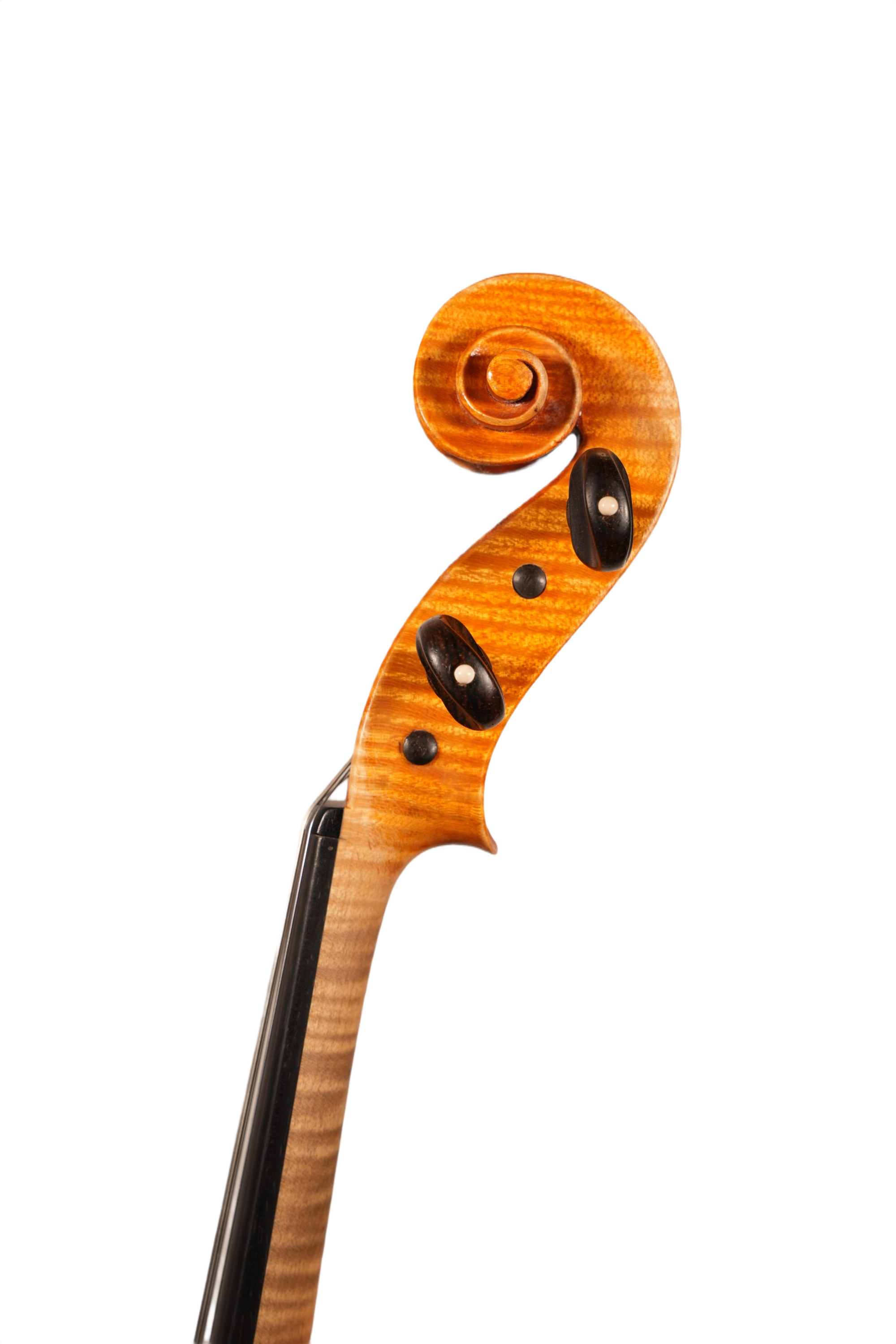 16.5" Viola Outfit - Leo Aschauer 1960
