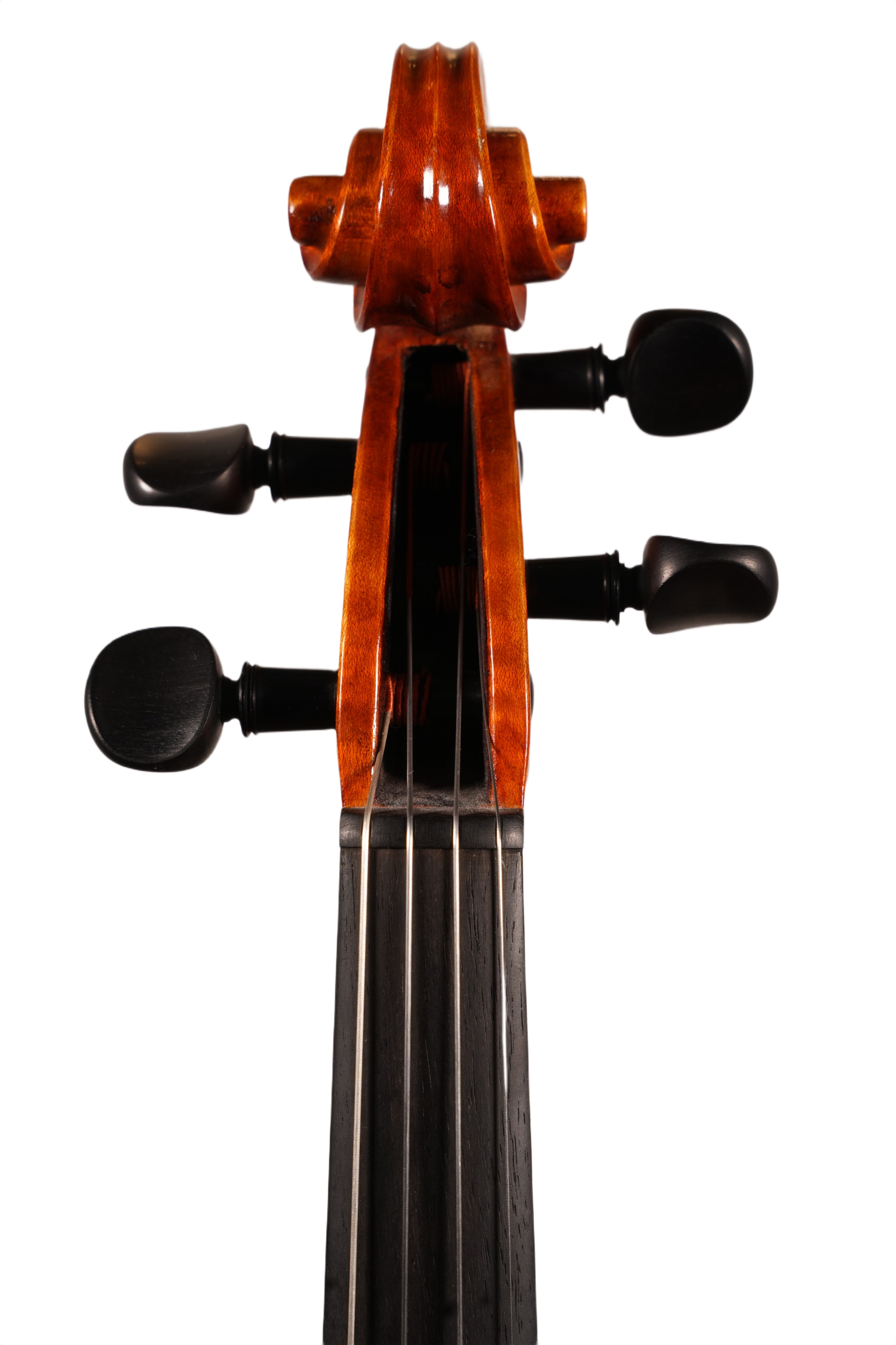 16.5" Viola Outfit - Franz Sandner (Nauheim anno. 2007)