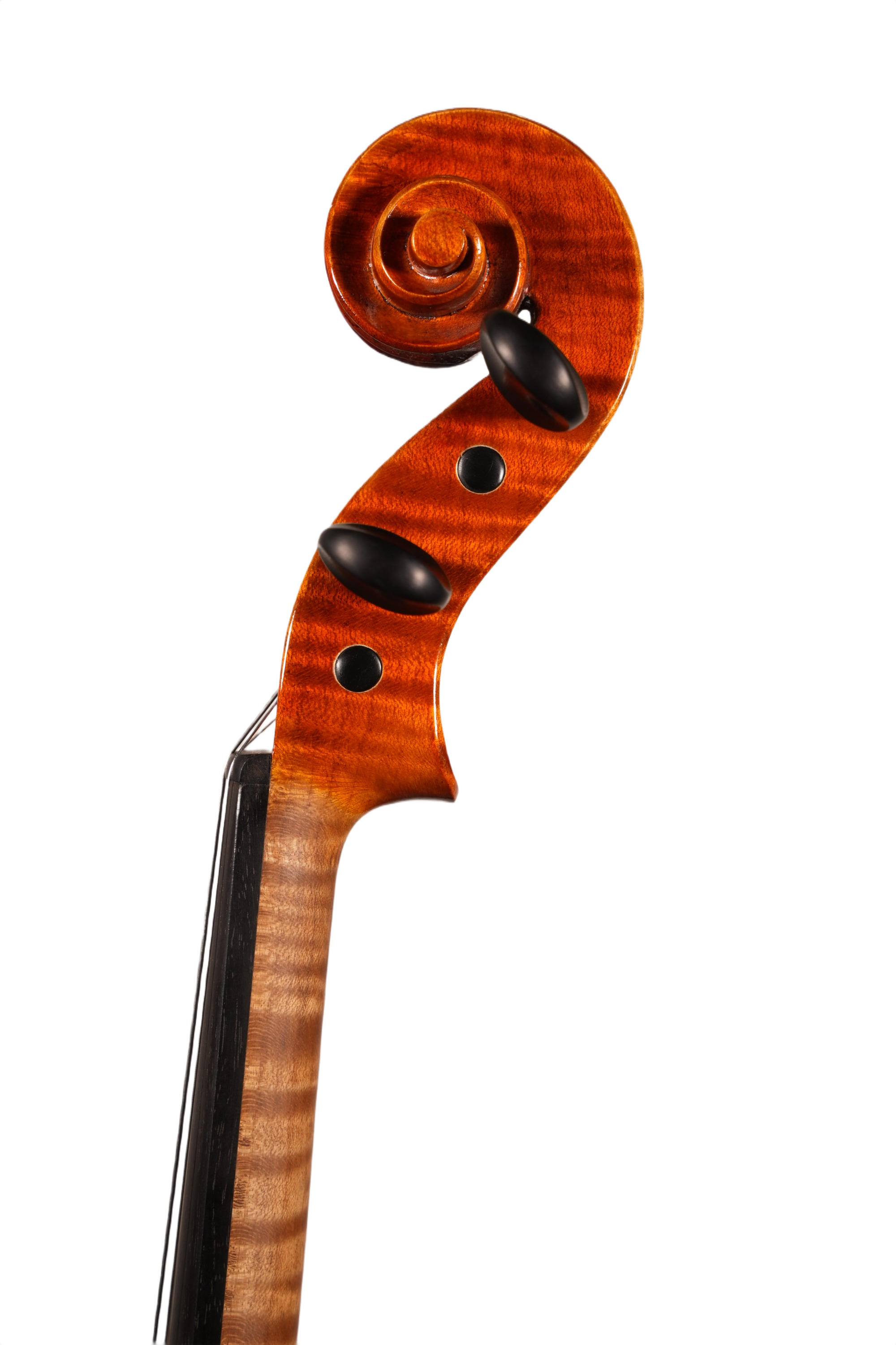 16.5" Viola Outfit - Franz Sandner (Nauheim anno. 2007)