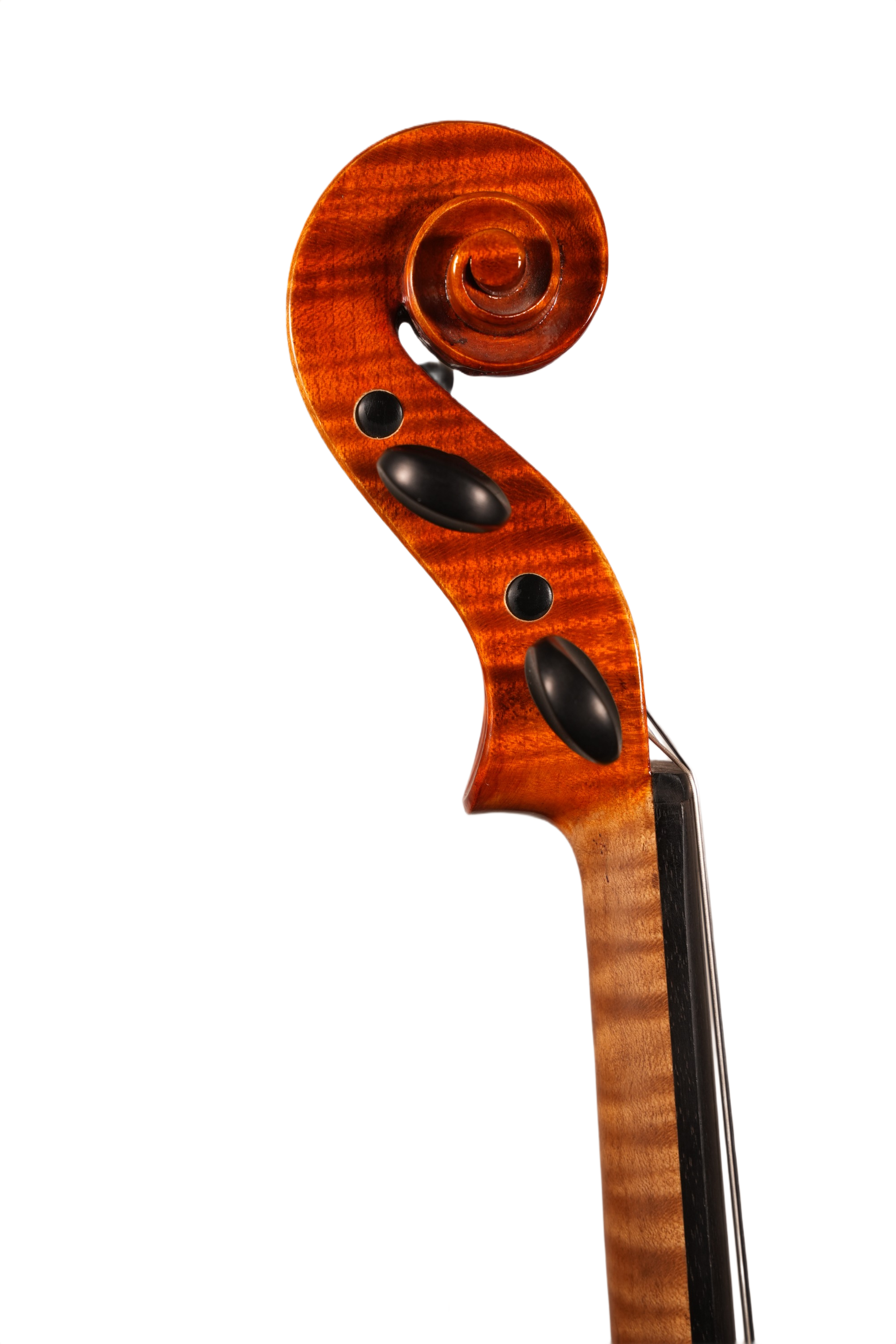 16.5" Viola Outfit - Franz Sandner (Nauheim anno. 2007)