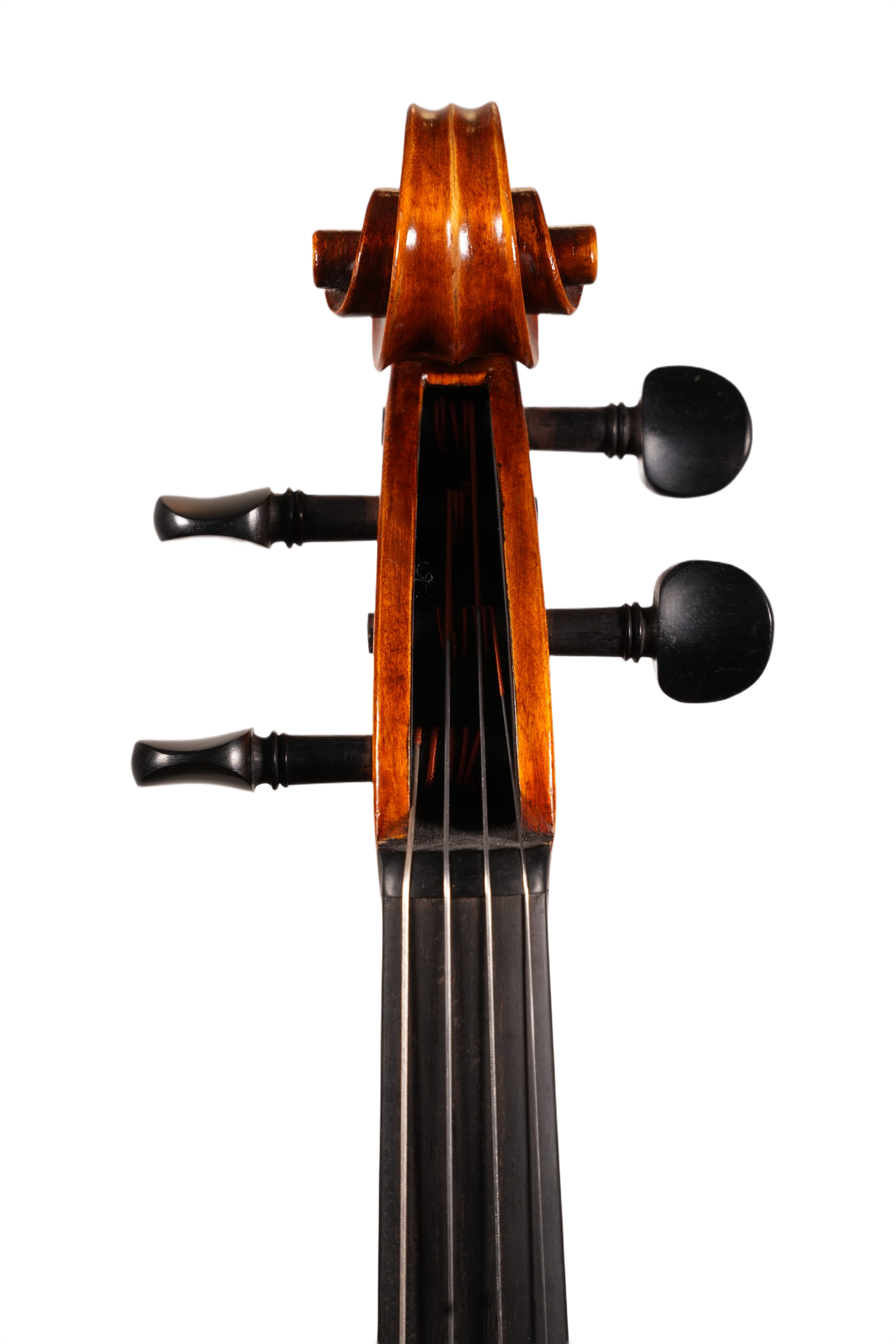 16.5" Viola Outfit - Terra Nova 2011