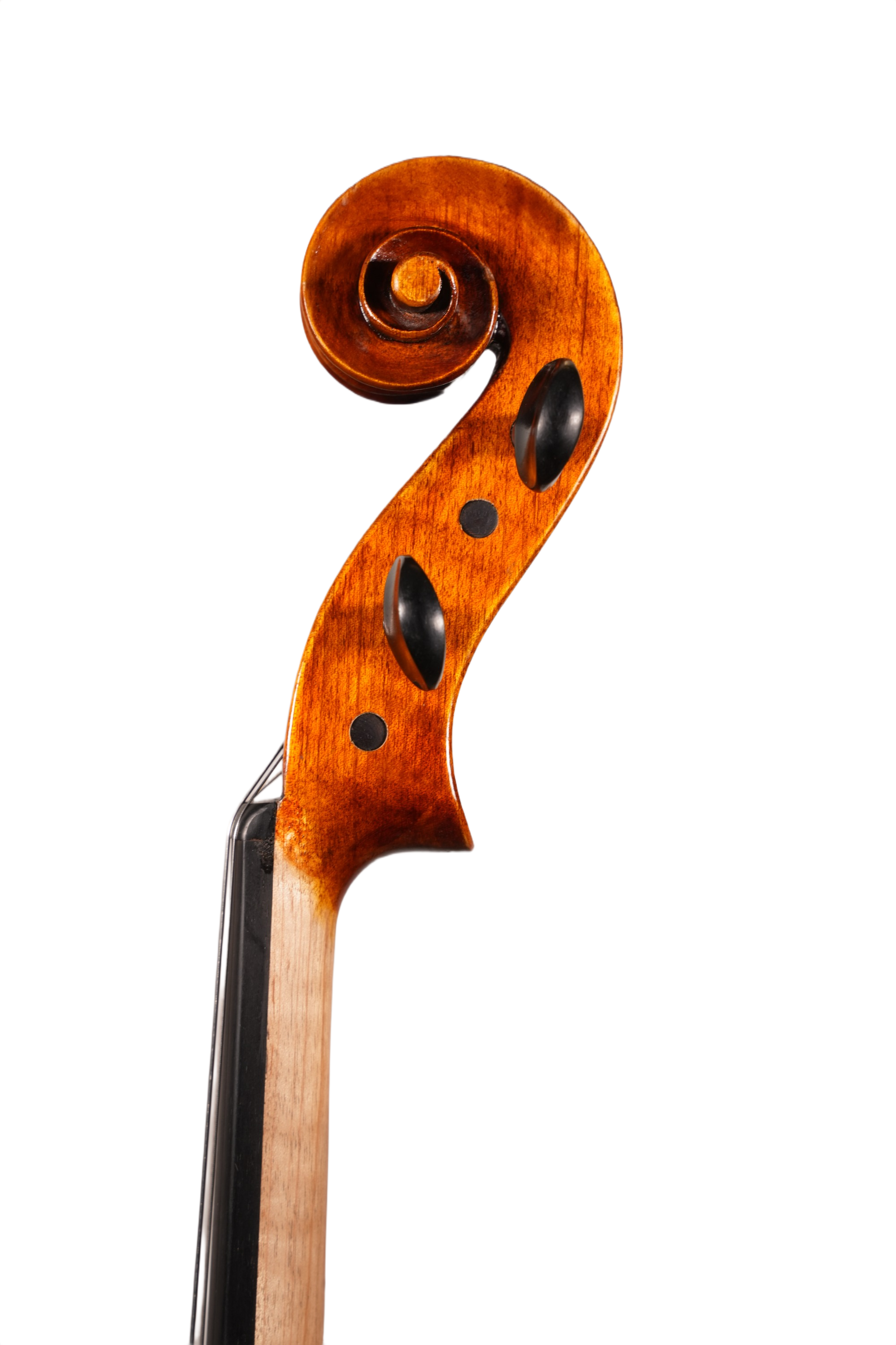 16.5" Viola Outfit - Terra Nova 2011