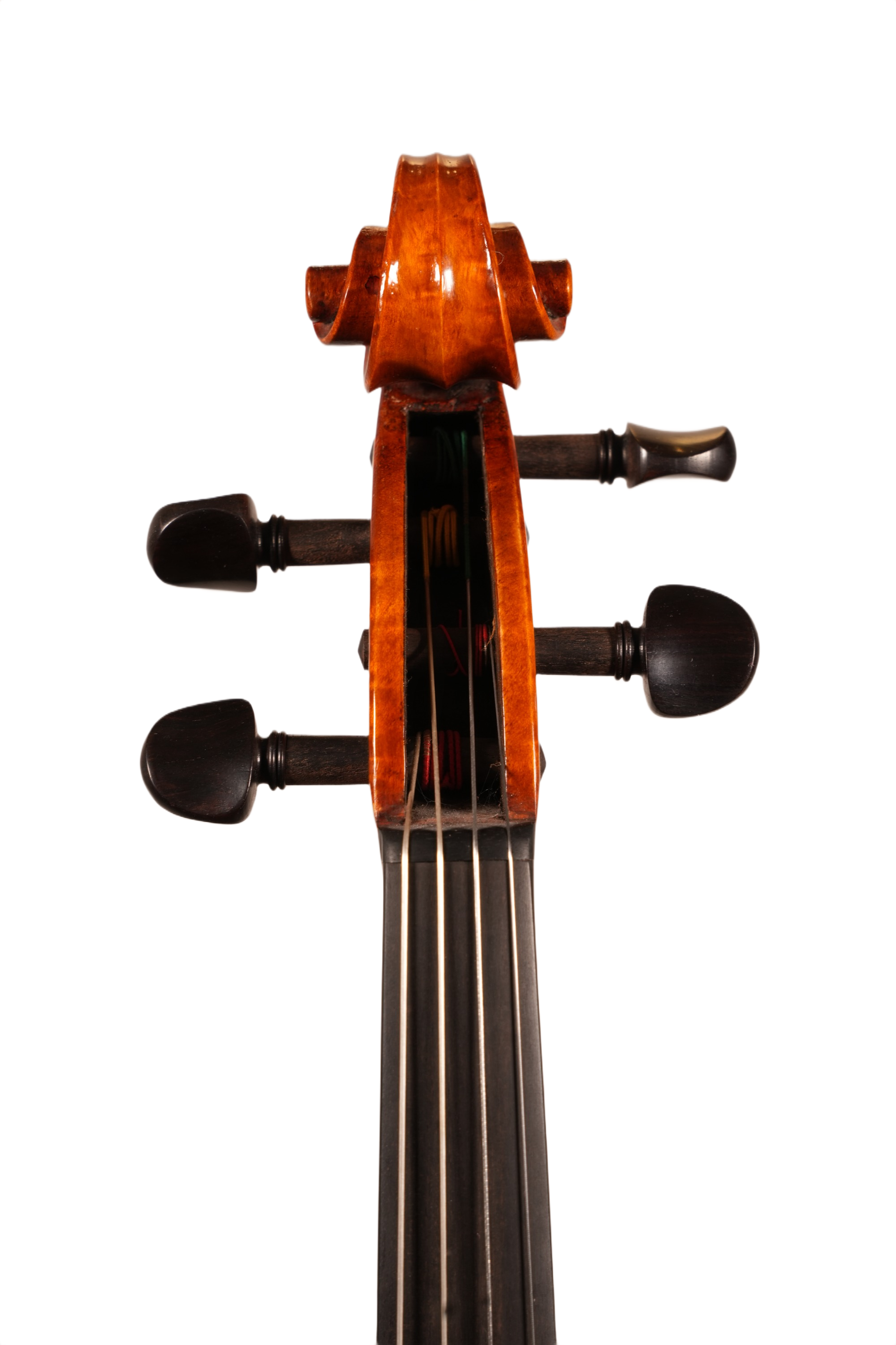 16.5" Viola Outfit - LS Model DT