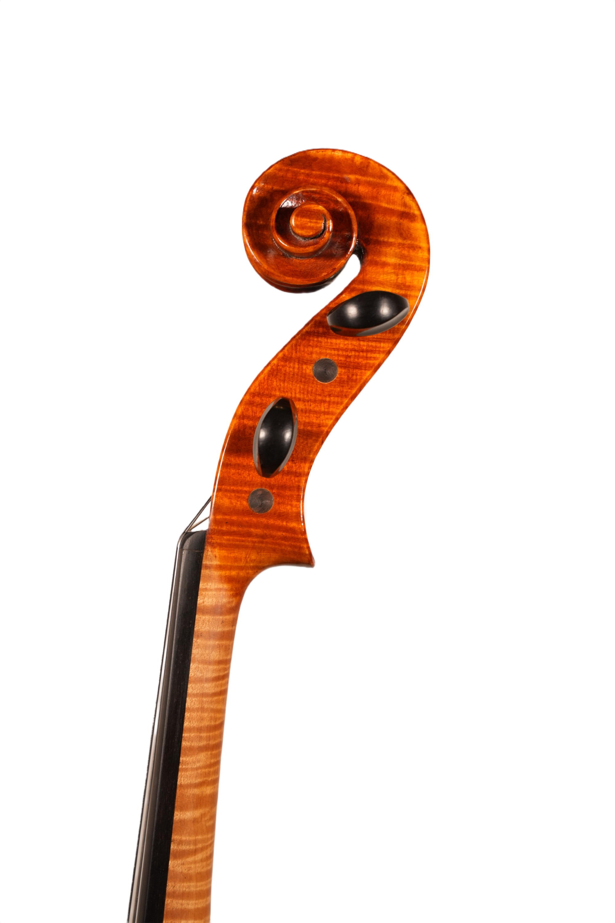 16.5" Viola Outfit - LS Model DT