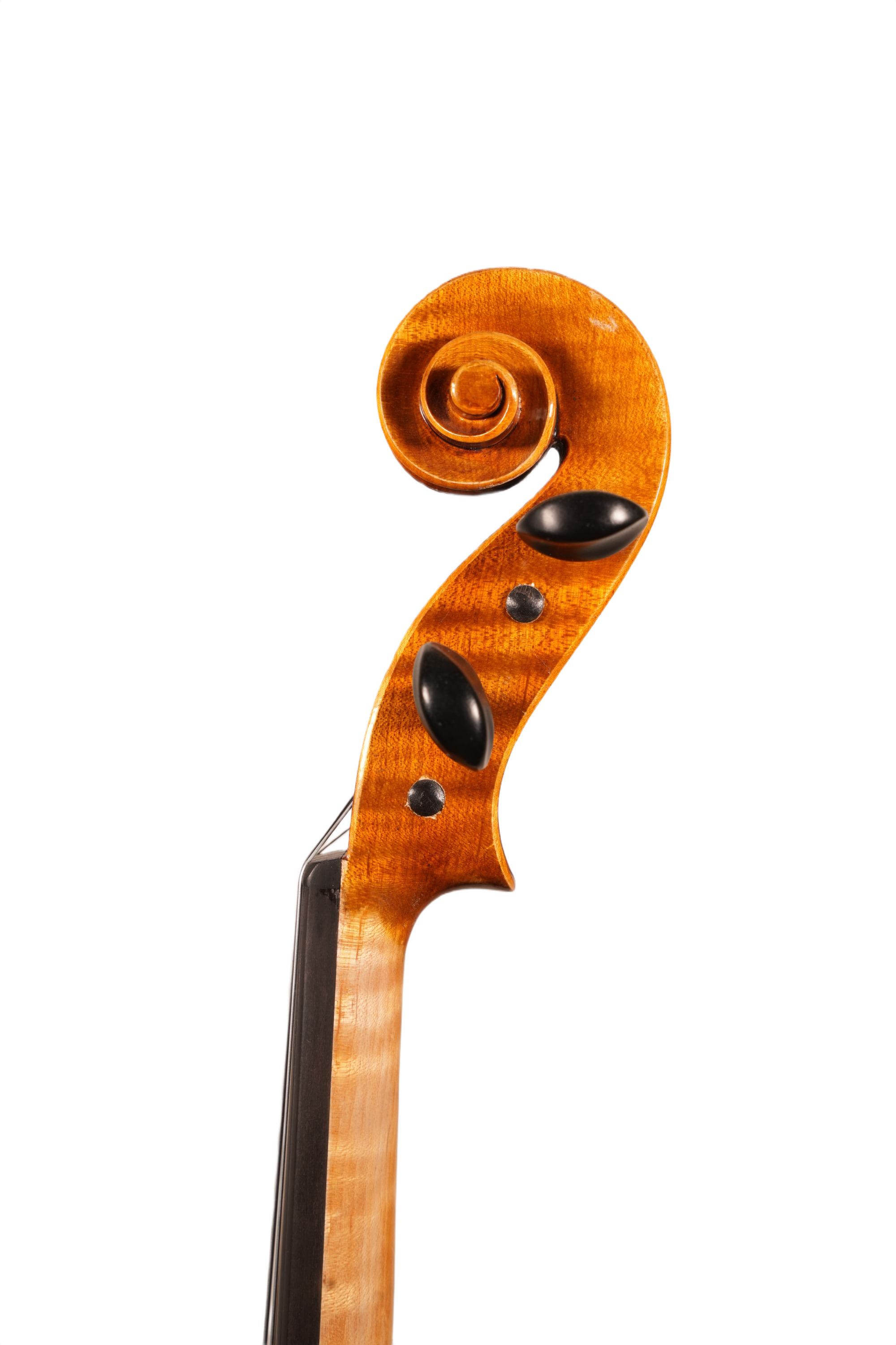 16" Viola Outfit - FN520 Model