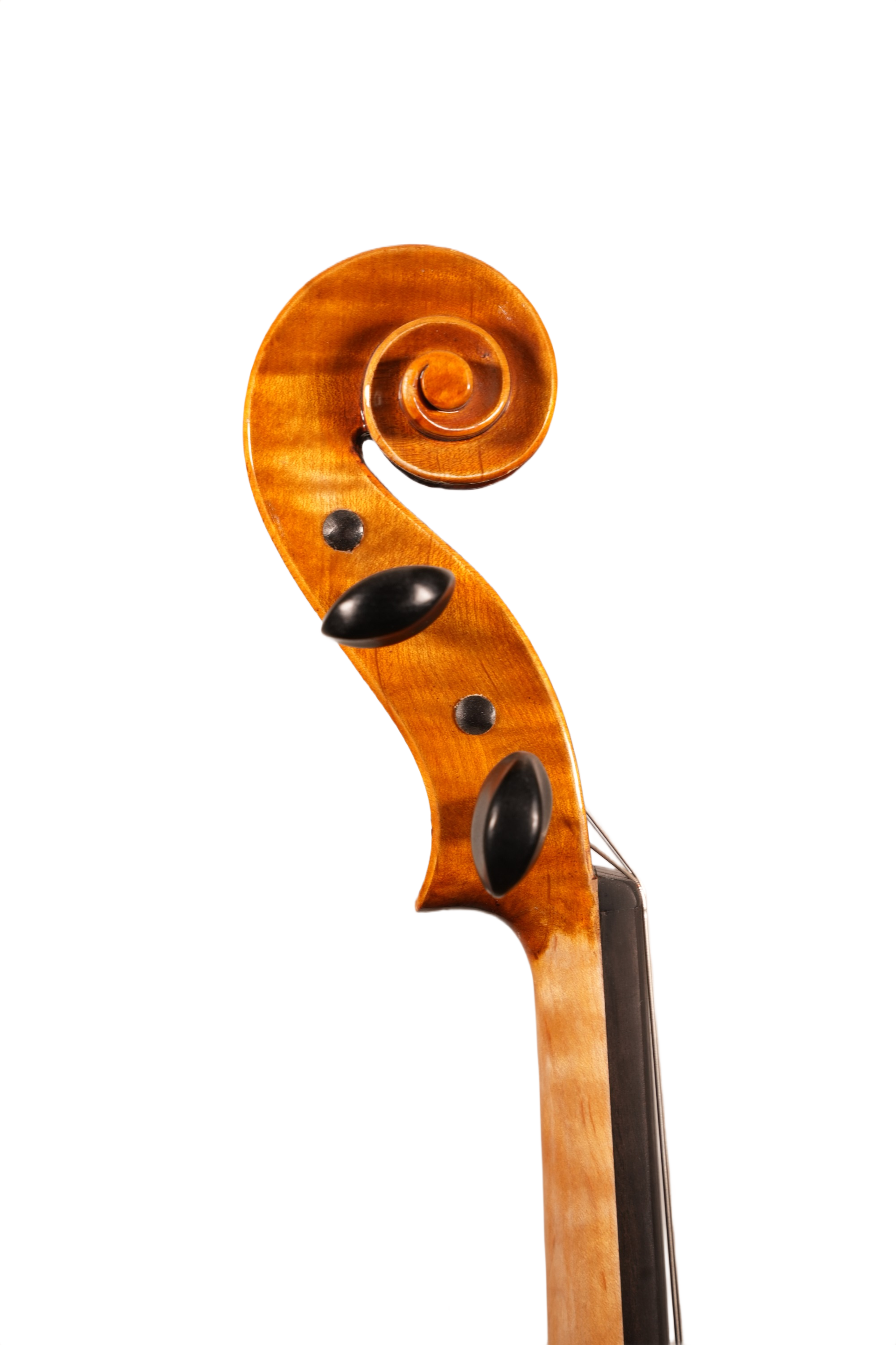 16" Viola Outfit - FN520 Model