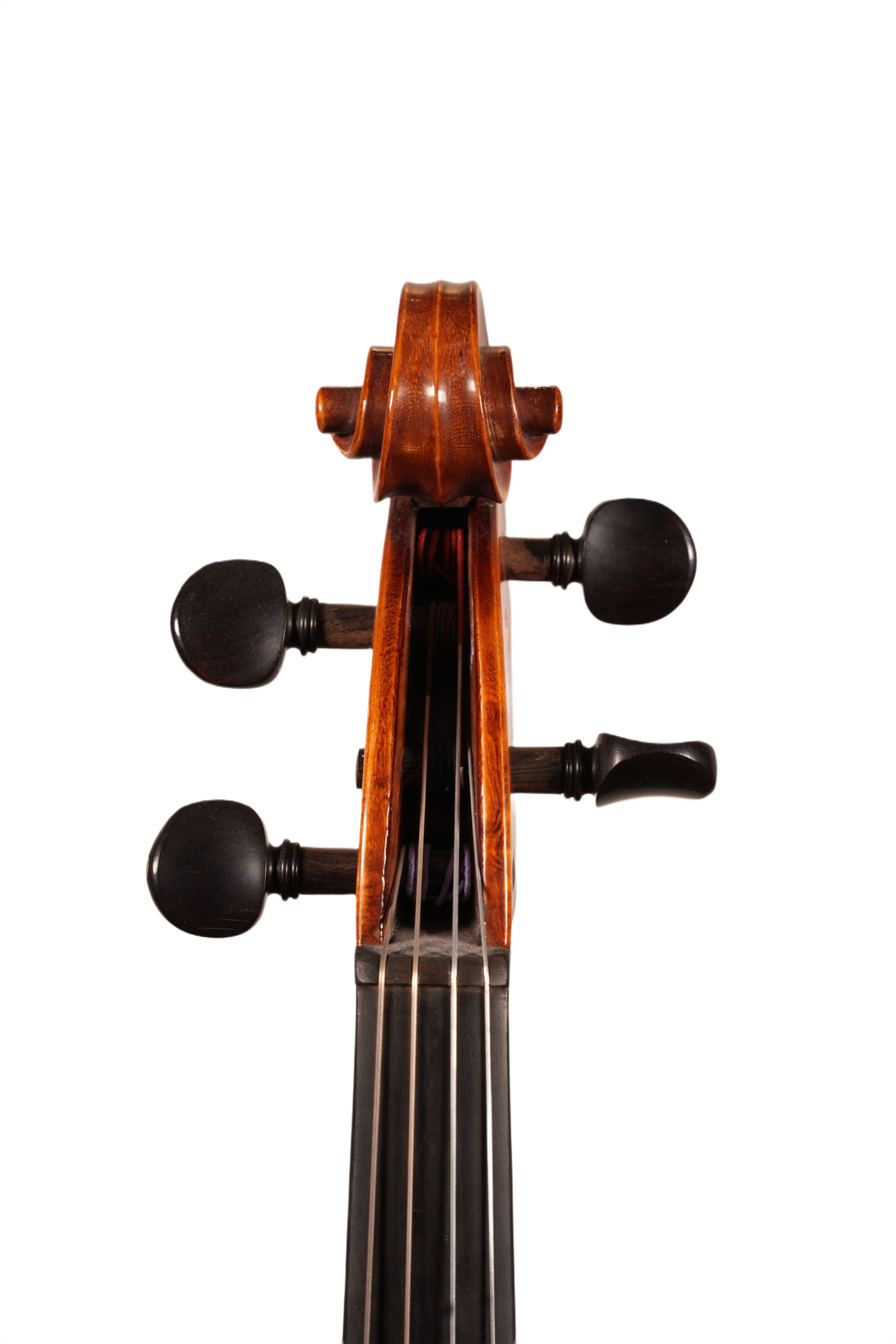 15.75" Viola Outfit - LS Model XD