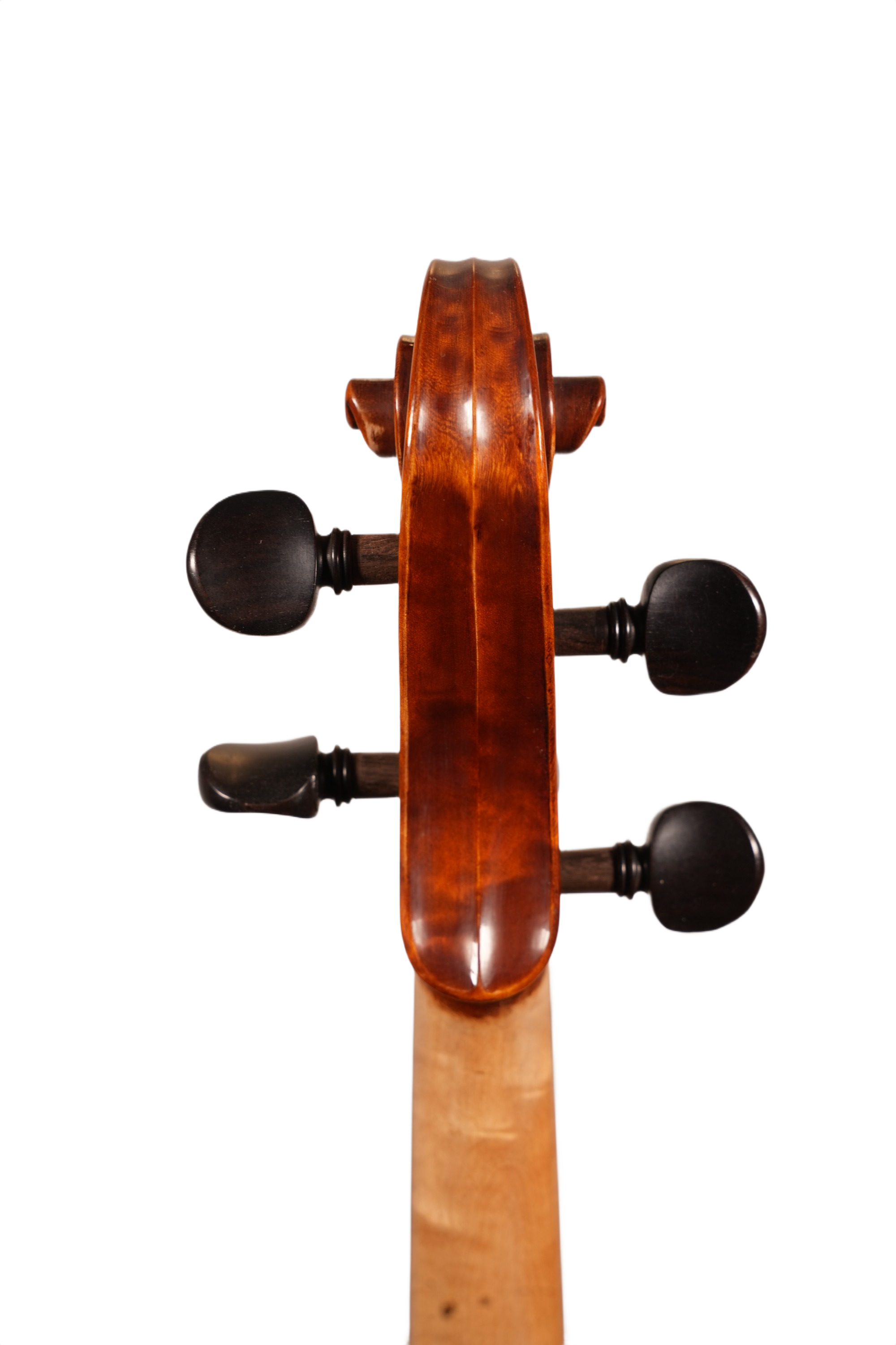 15.75" Viola Outfit - LS Model XD