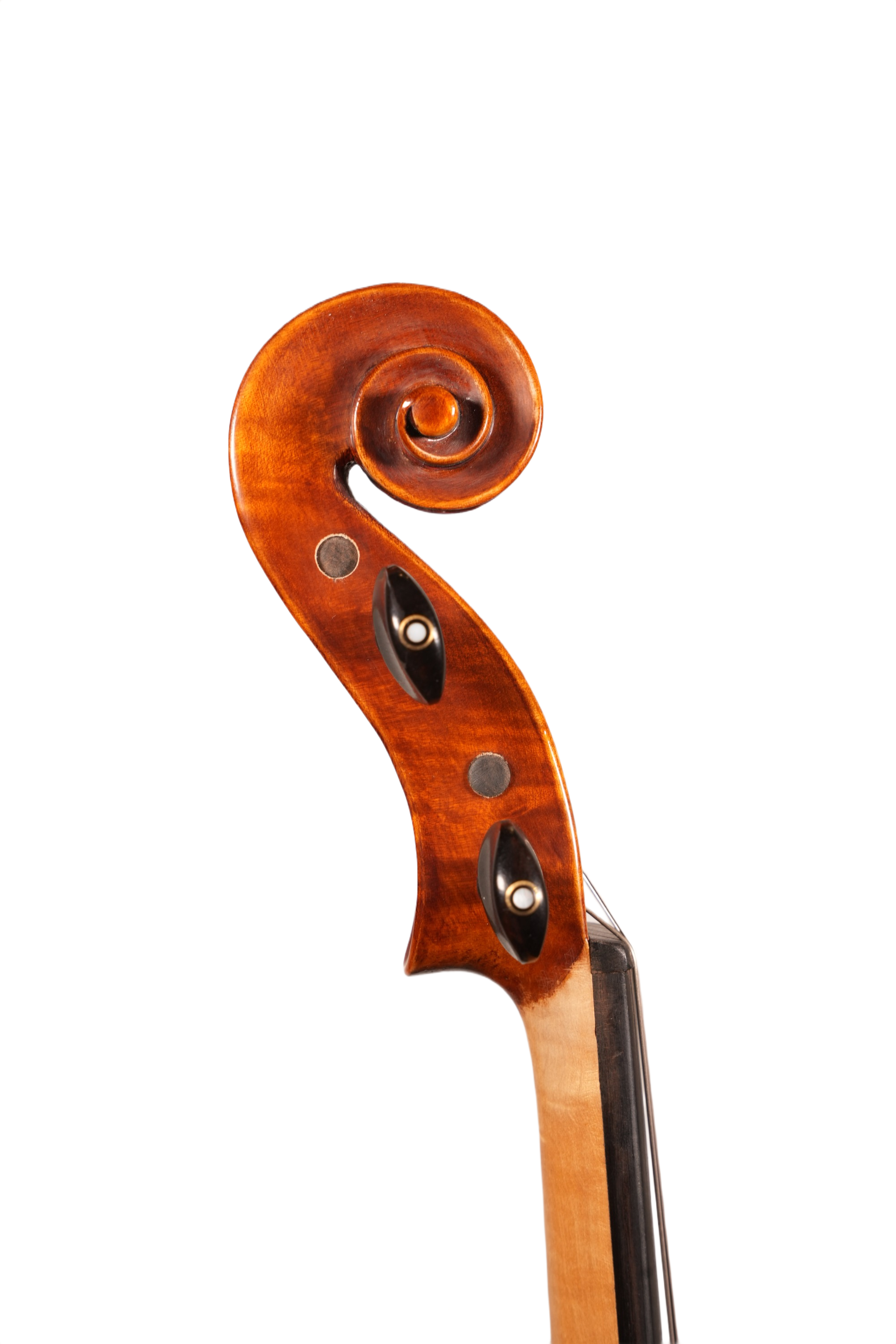 15.75" Viola Outfit - LS Model XD