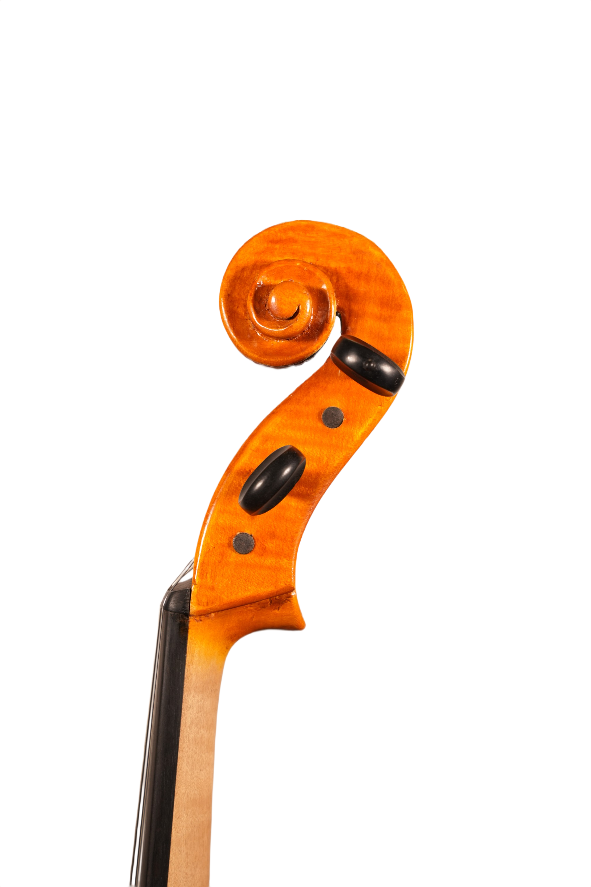 15.75" Viola Outfit - Hoeyon (Plano, Texas)