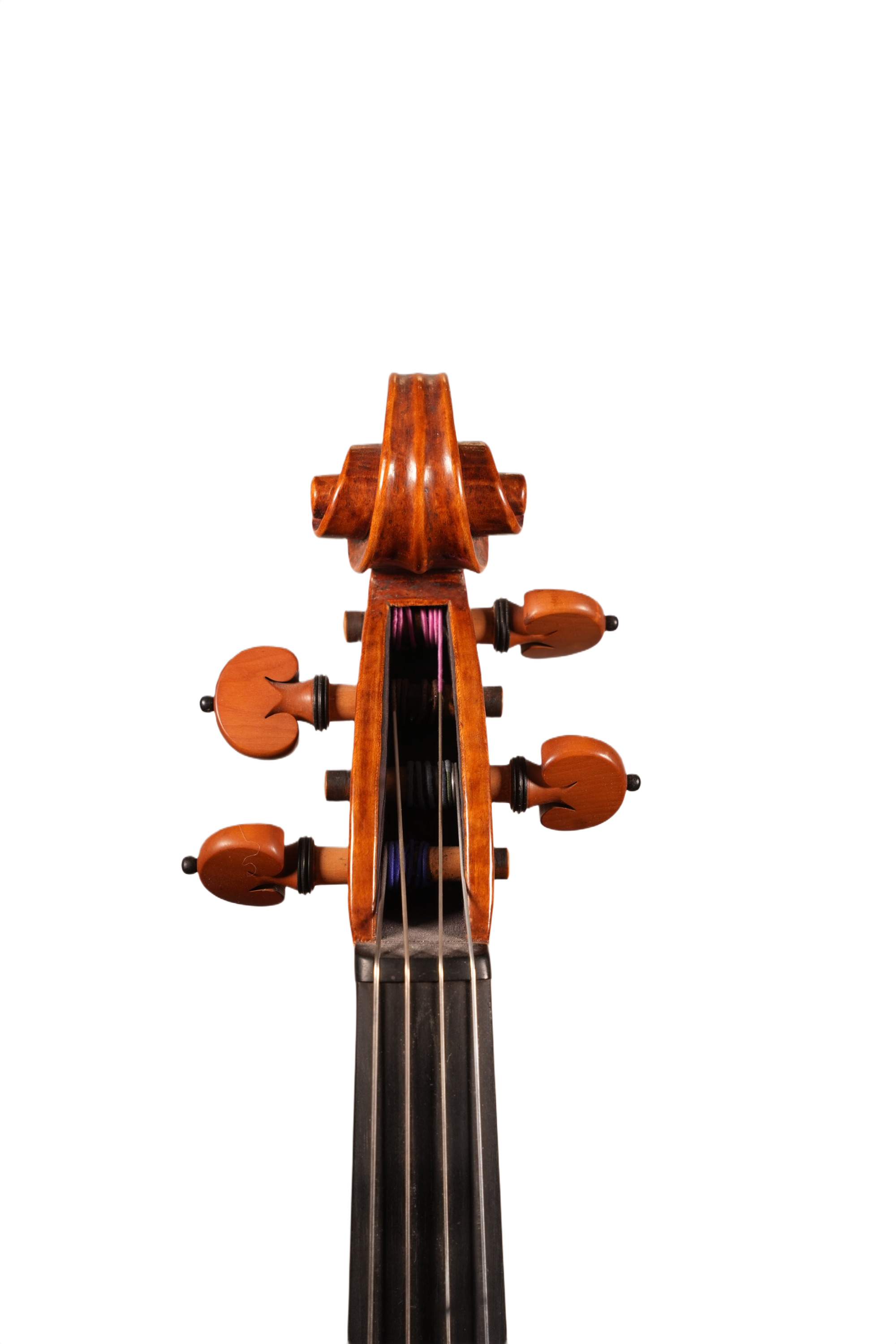 16.5" Viola Outfit - Bruno Costardi