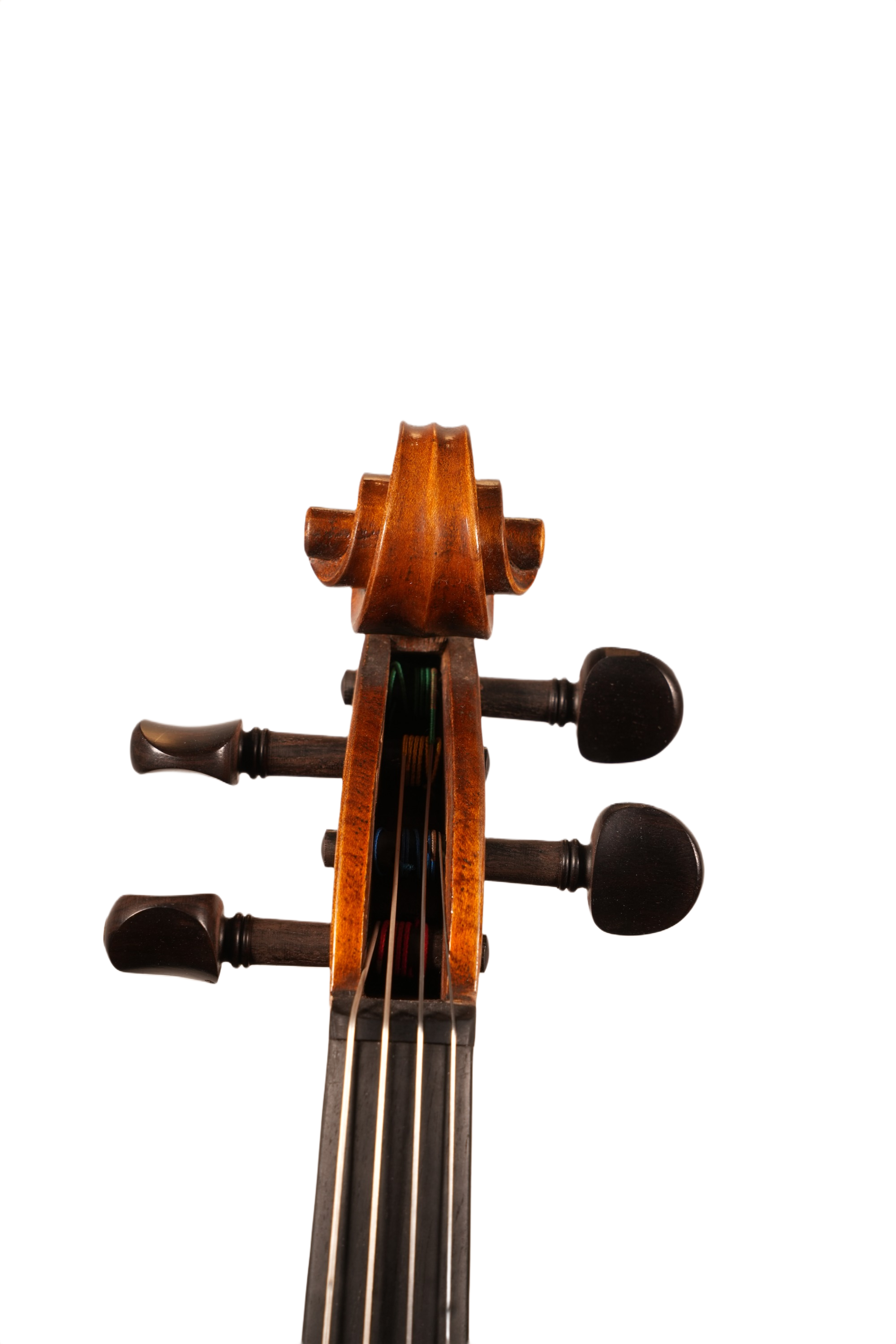 15.5" Viola Outfit - Unlabeled LS Model (anno. 2025)