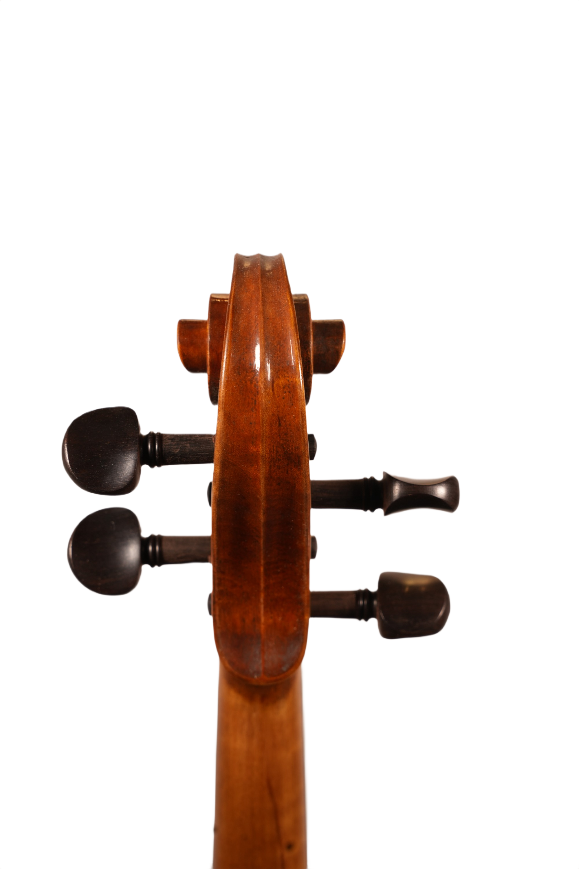 15.5" Viola Outfit - Unlabeled LS Model (anno. 2025)