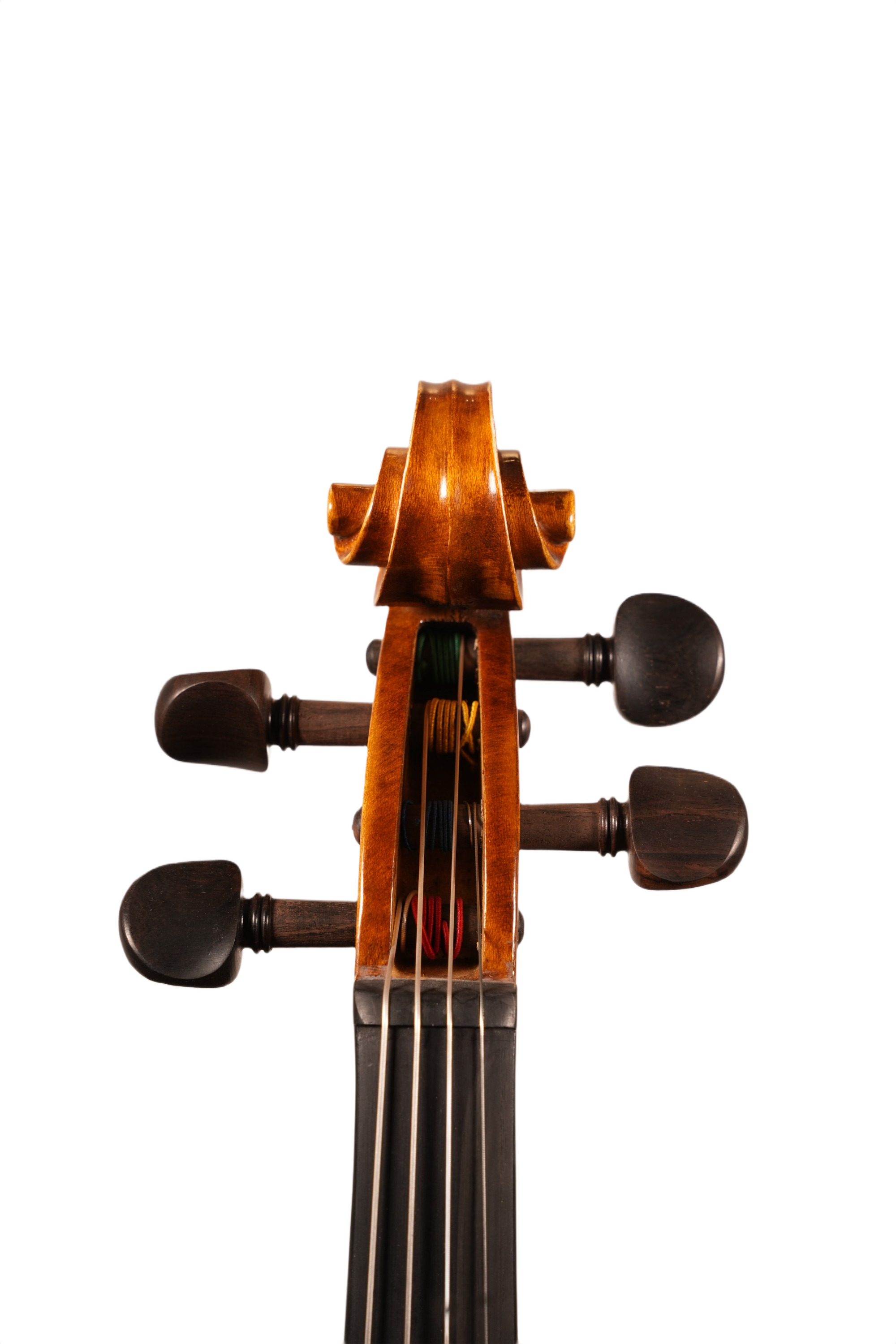 15" Viola Outfit - LS Model DT (anno. 2025)