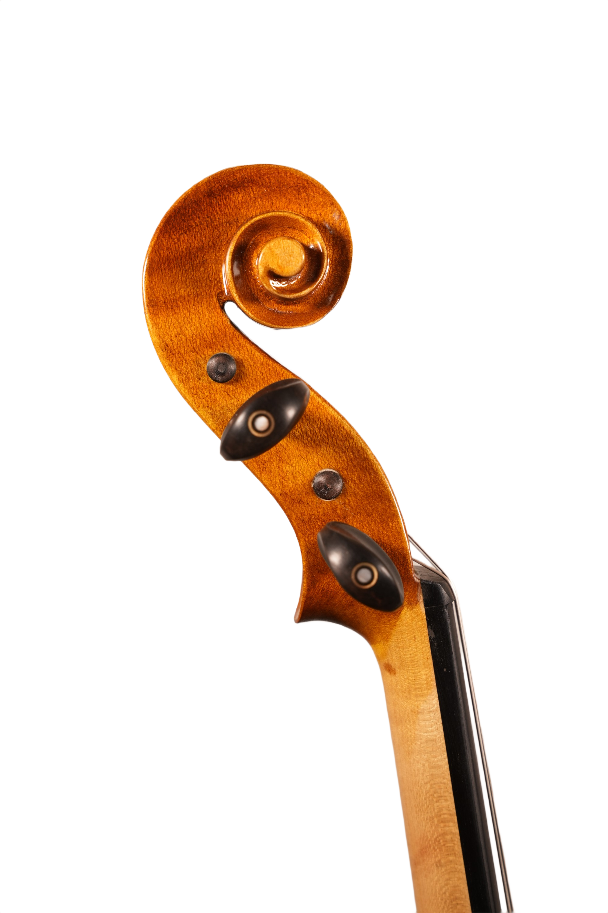 15" Viola Outfit - LS Model DT (anno. 2025)