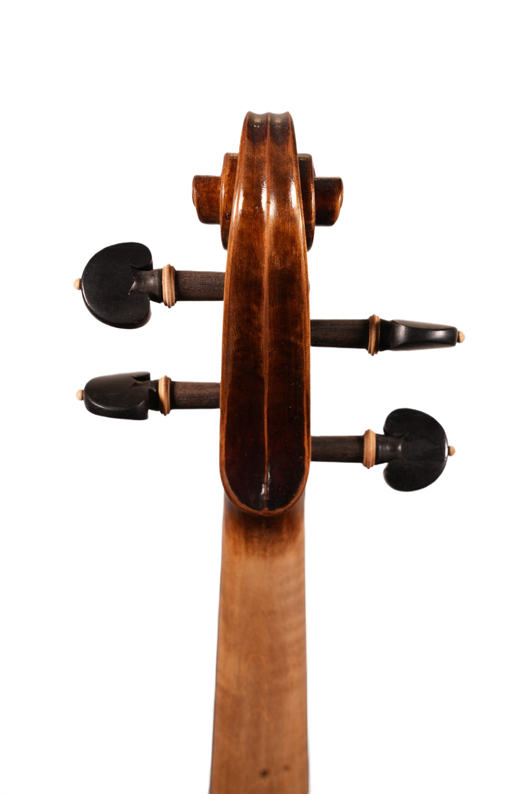 15" Viola Outfit - LS Model