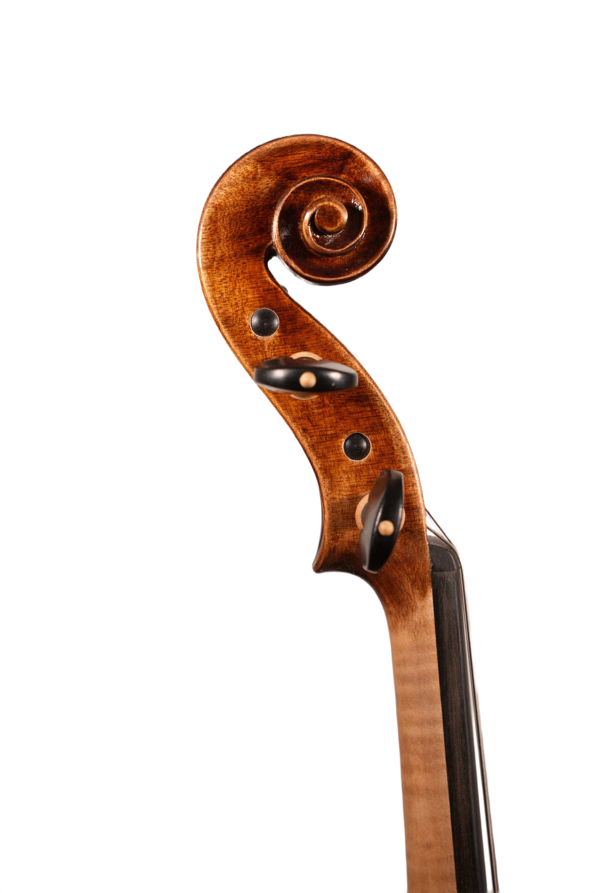 15" Viola Outfit - LS Model