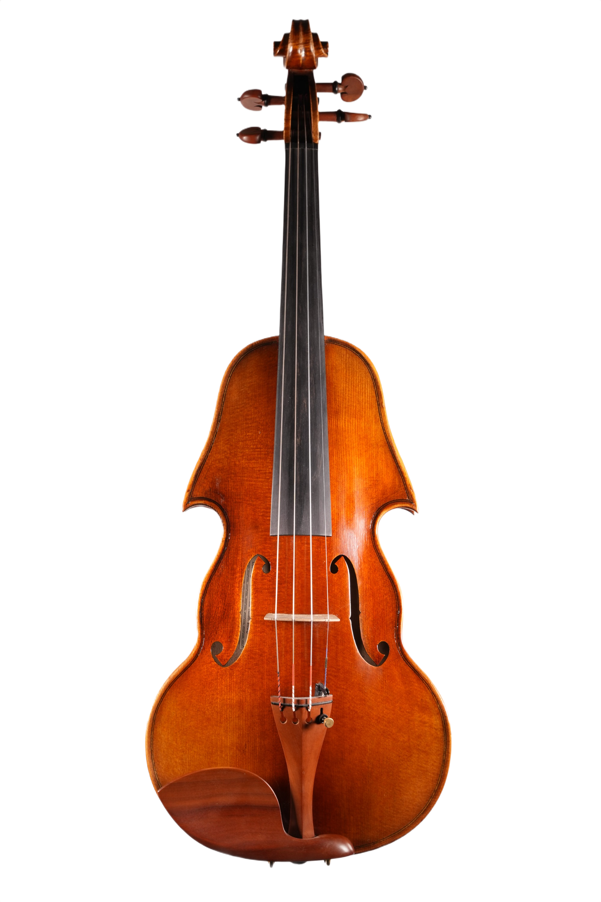 4/4 Violin Outfit - Sandro Luciano (2020)