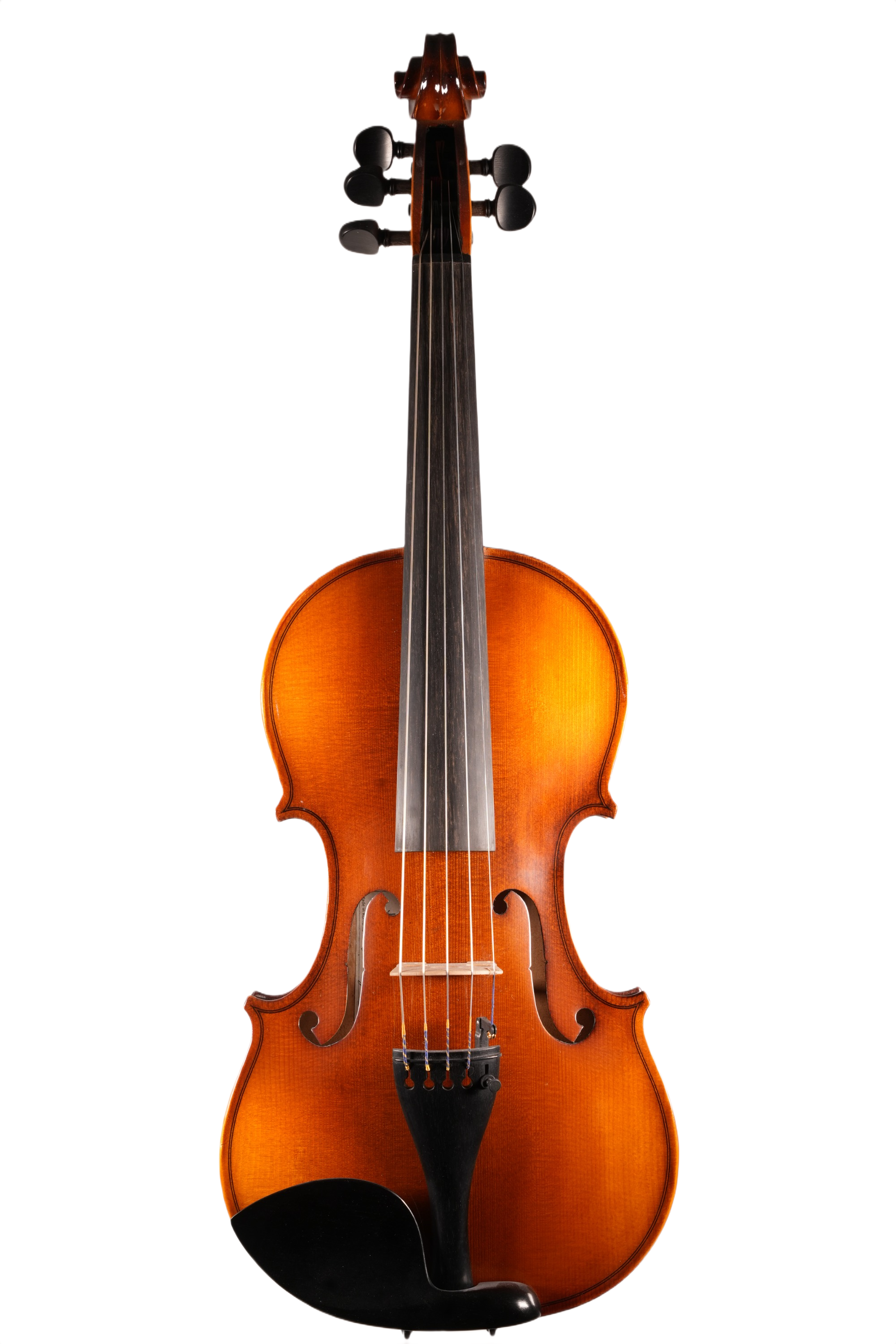 4/4 Violin Outfit - 5 String