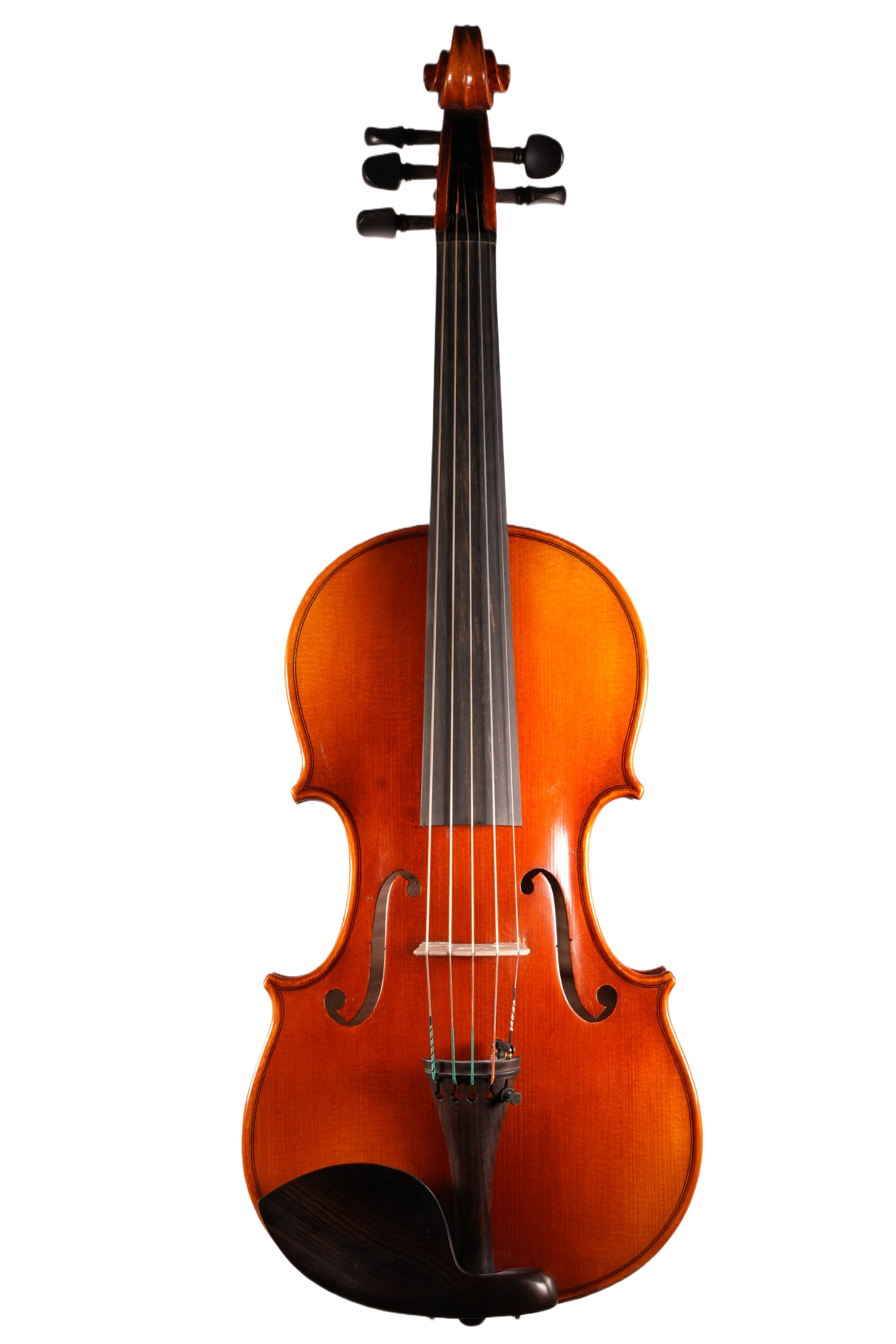4/4 Violin Outfit - 5 String