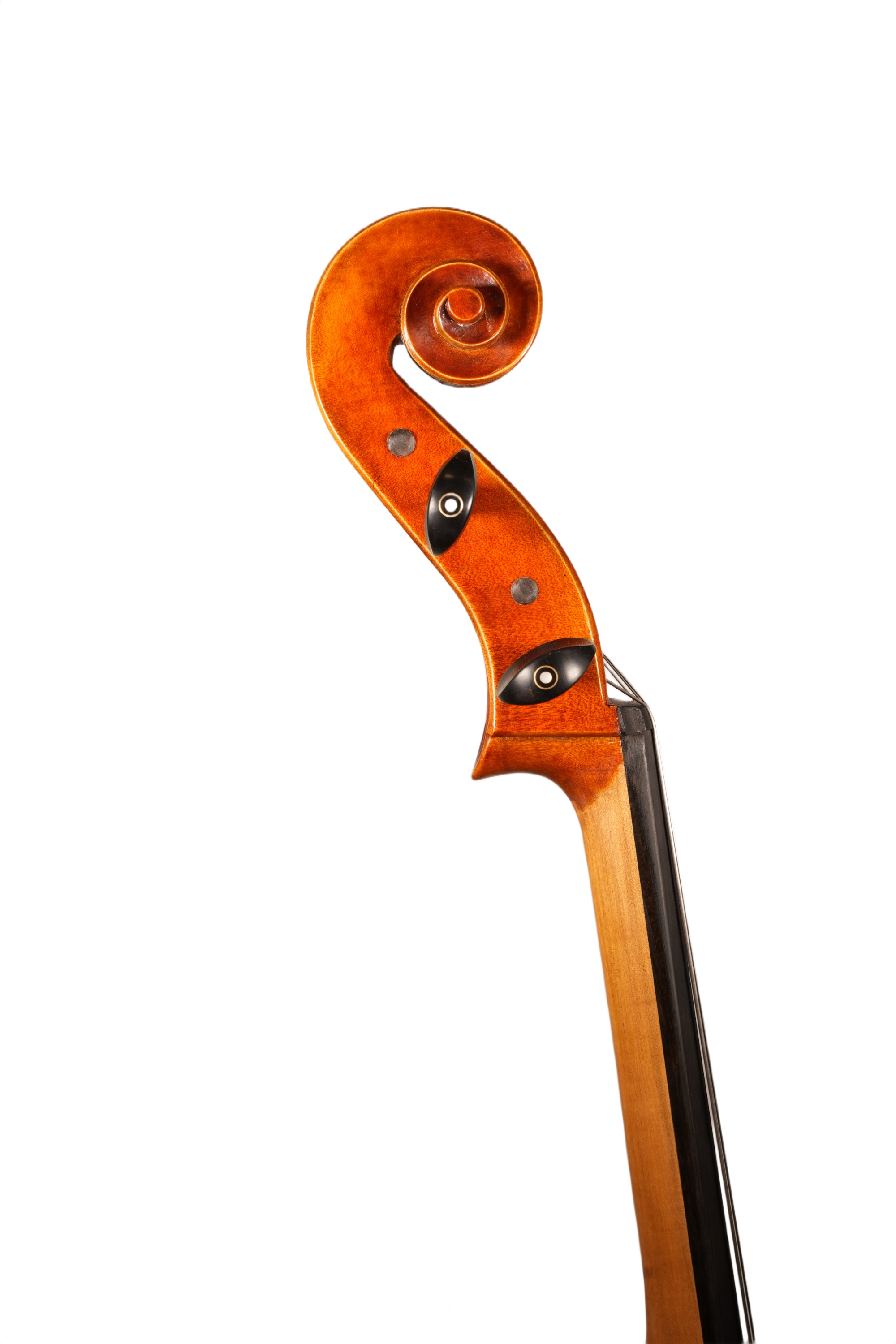 4/4 Cello Outfit - LS Model UT