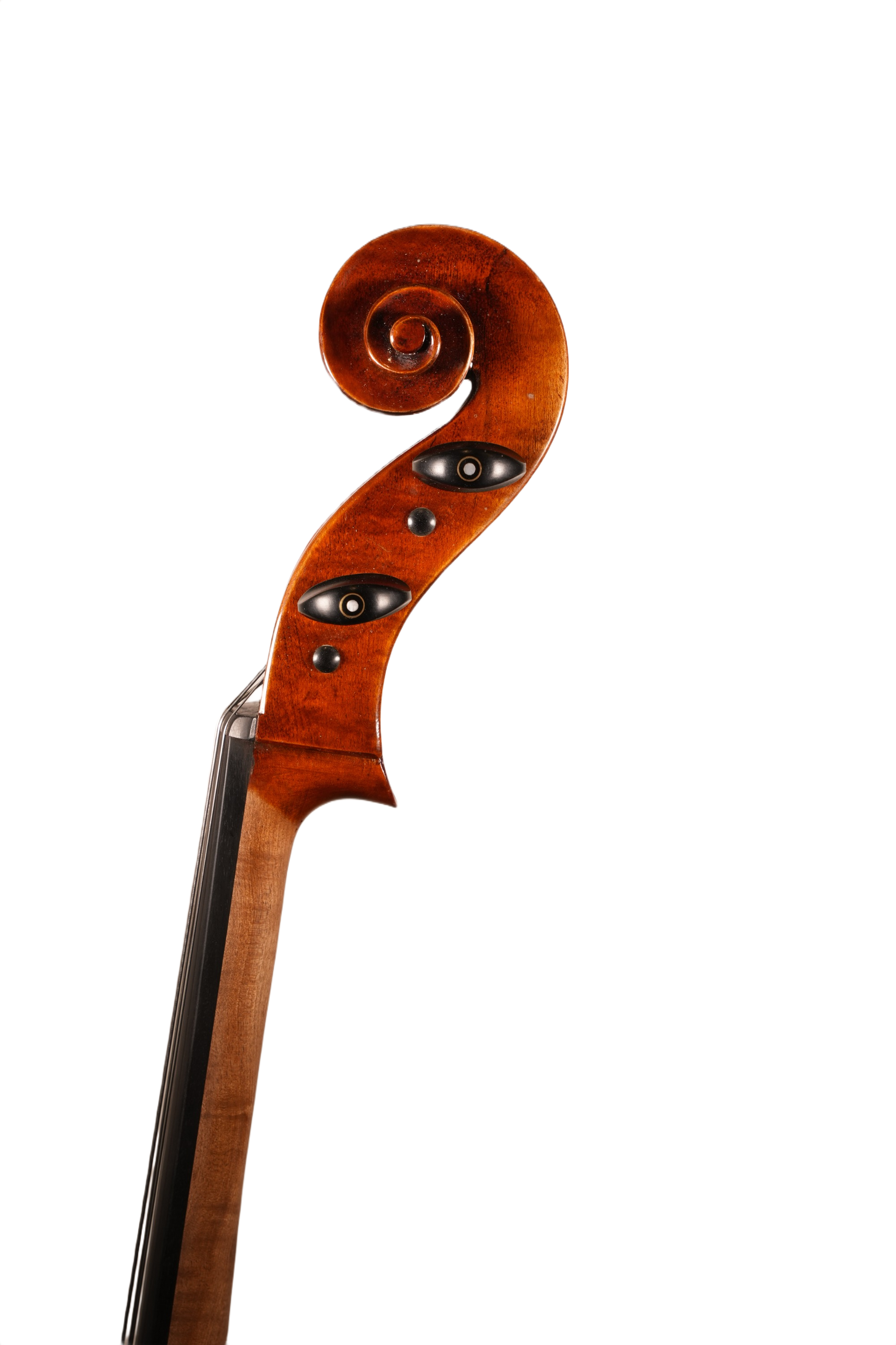4/4 Cello Outfit - LS Model 70
