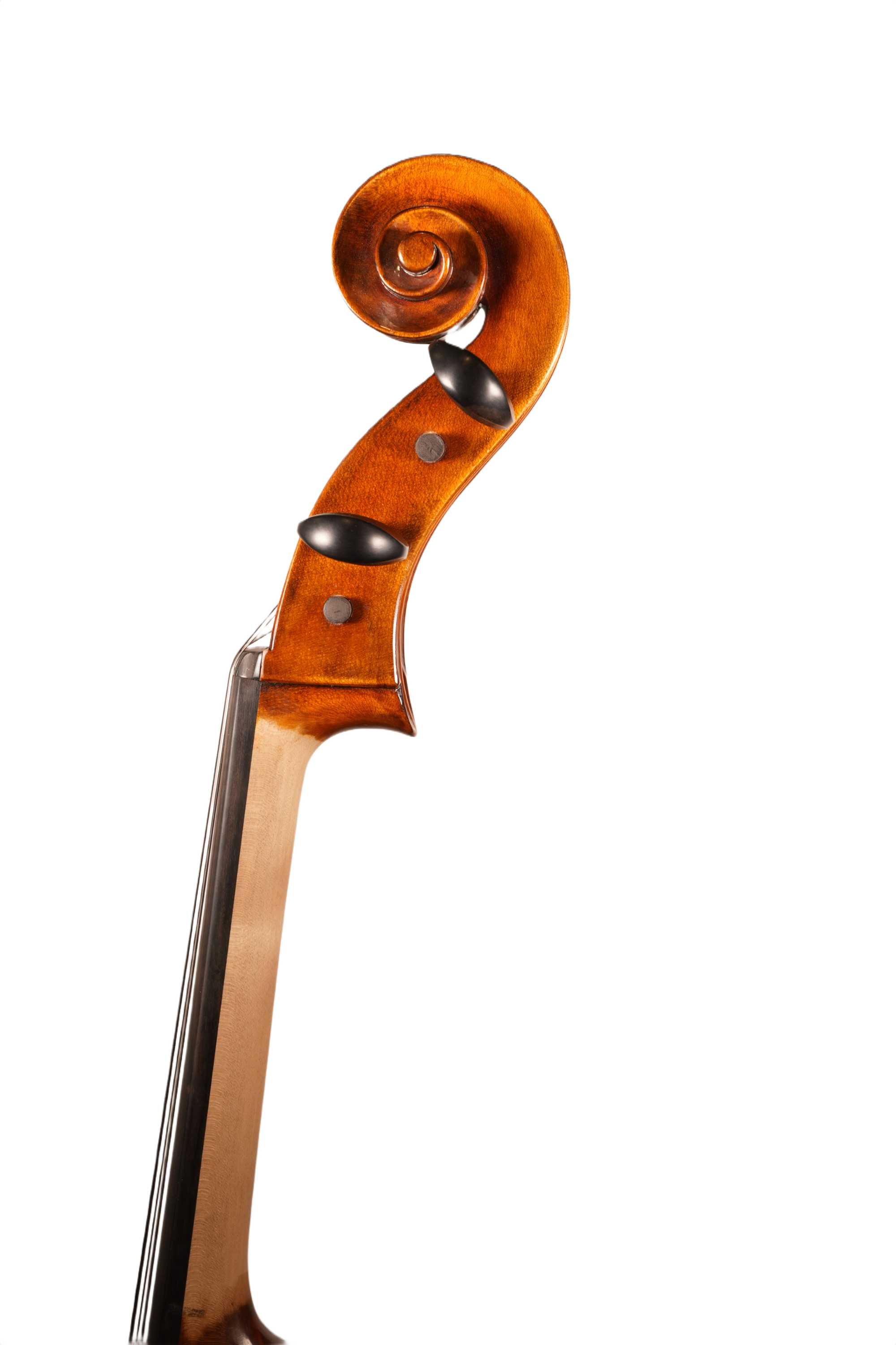 4/4 Cello Outfit - LS Model BT