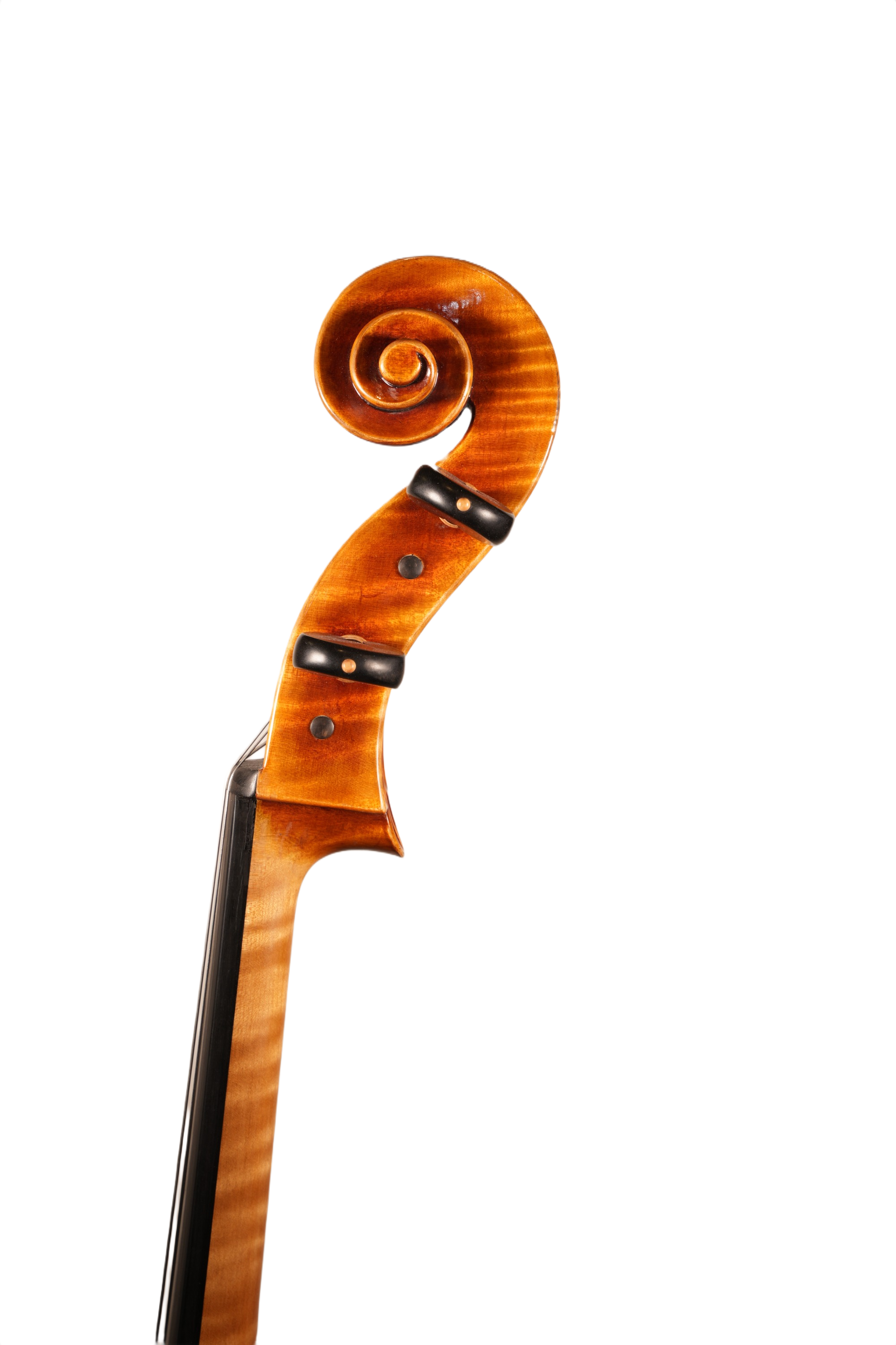 4/4 Cello Outfit - Ming Jiang Zhu (anno. 2020)