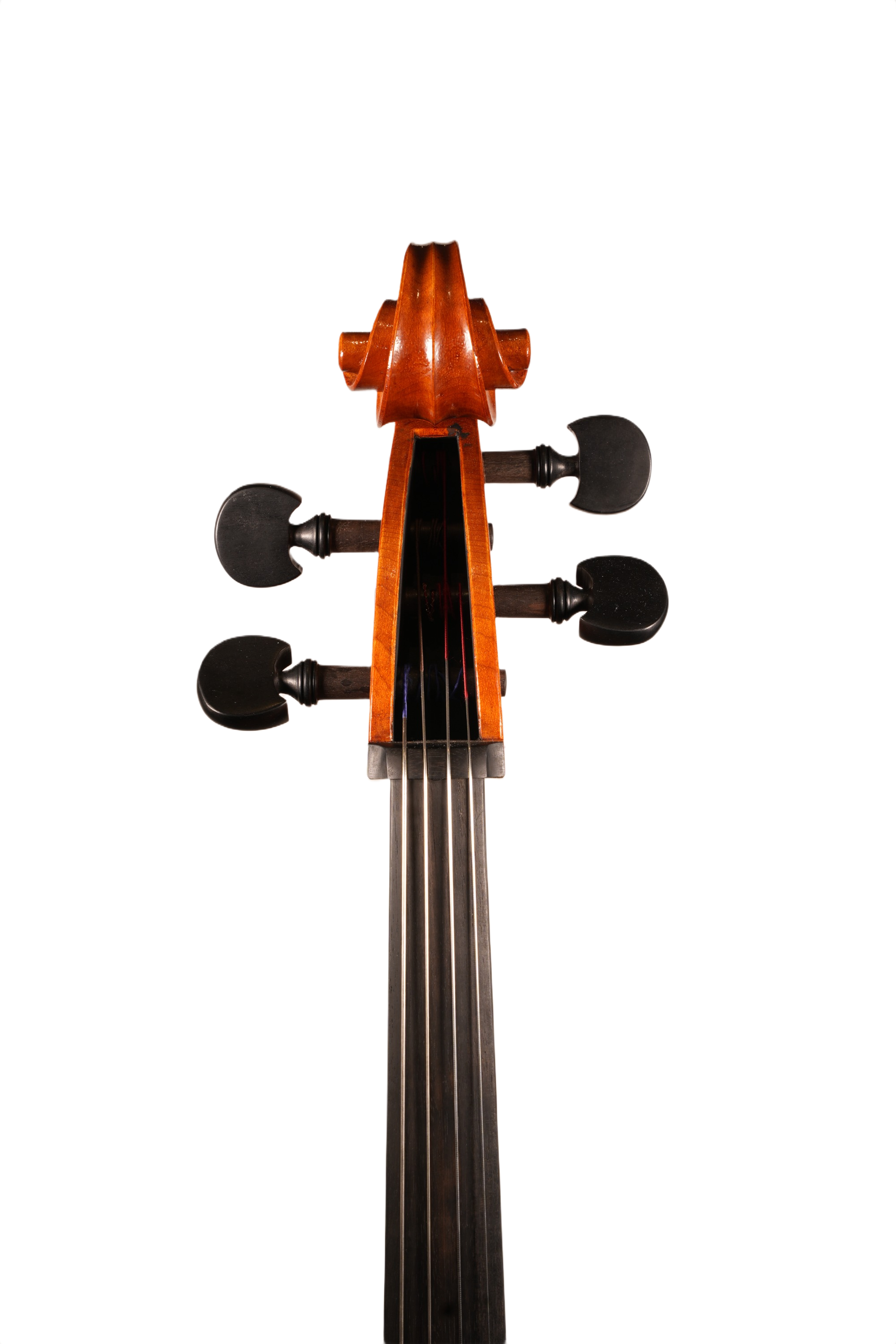 4/4 Lillo Salerno Workshop Cello Ex Cremonensis (anno 2025)