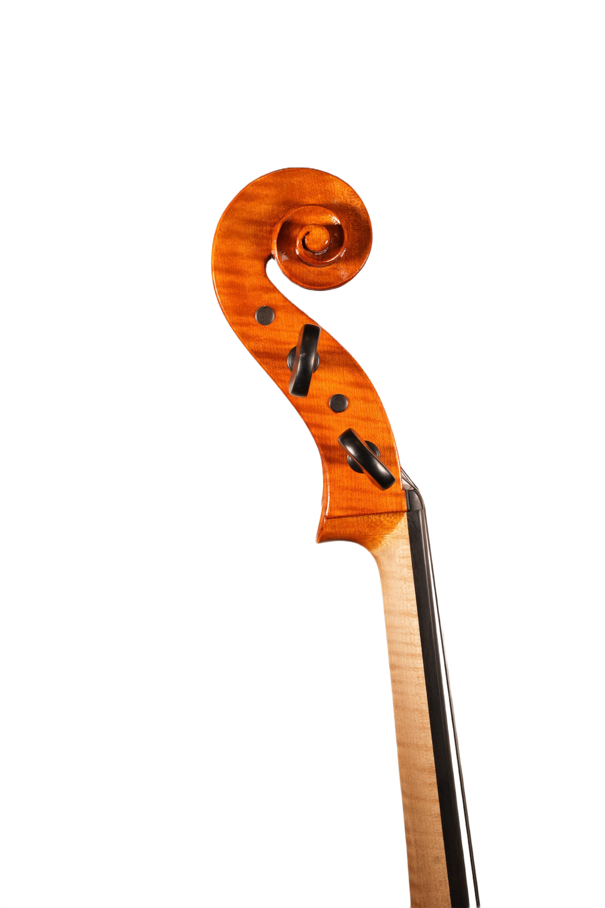 4/4 Lillo Salerno Workshop Cello Ex Cremonensis (anno 2025)