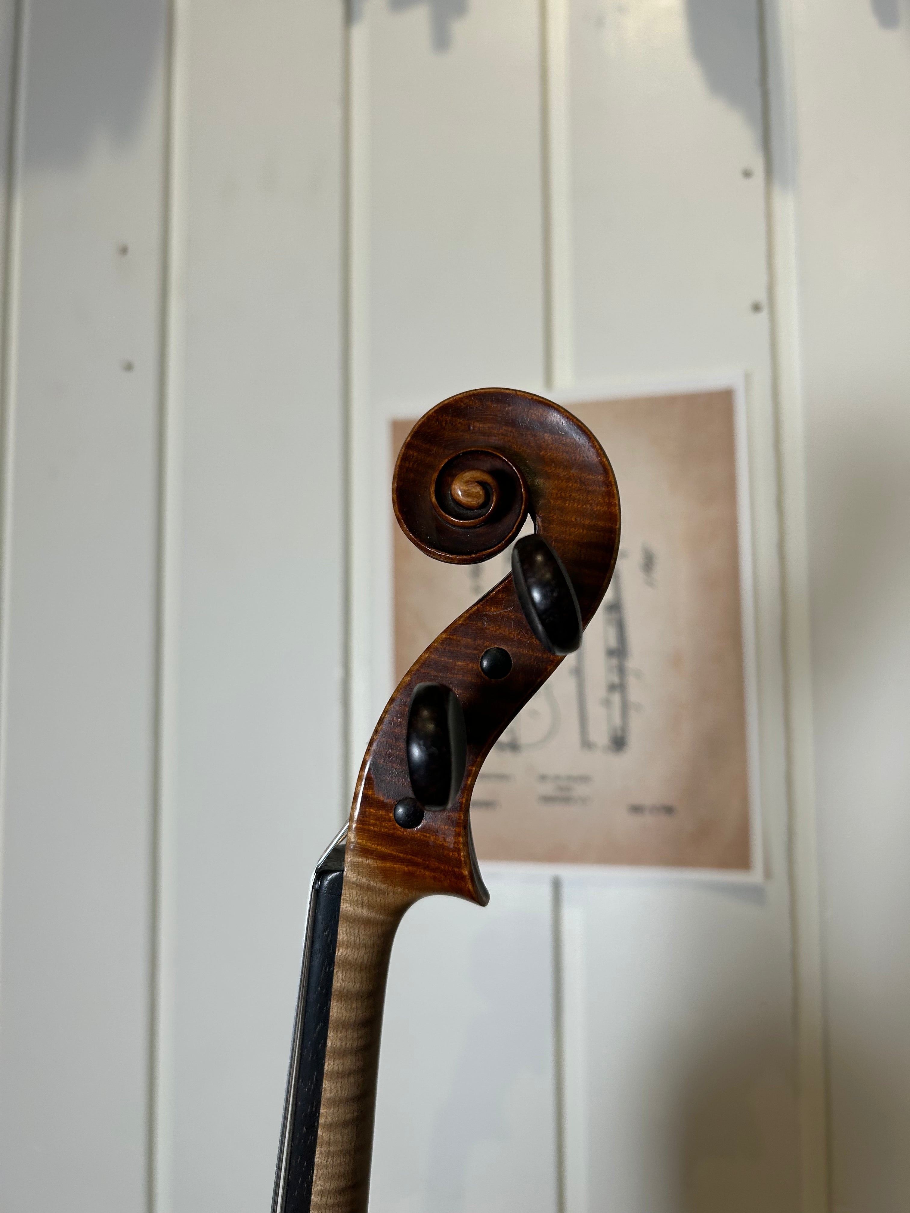 4/4 Violin Outfit - Leandro Bisiach