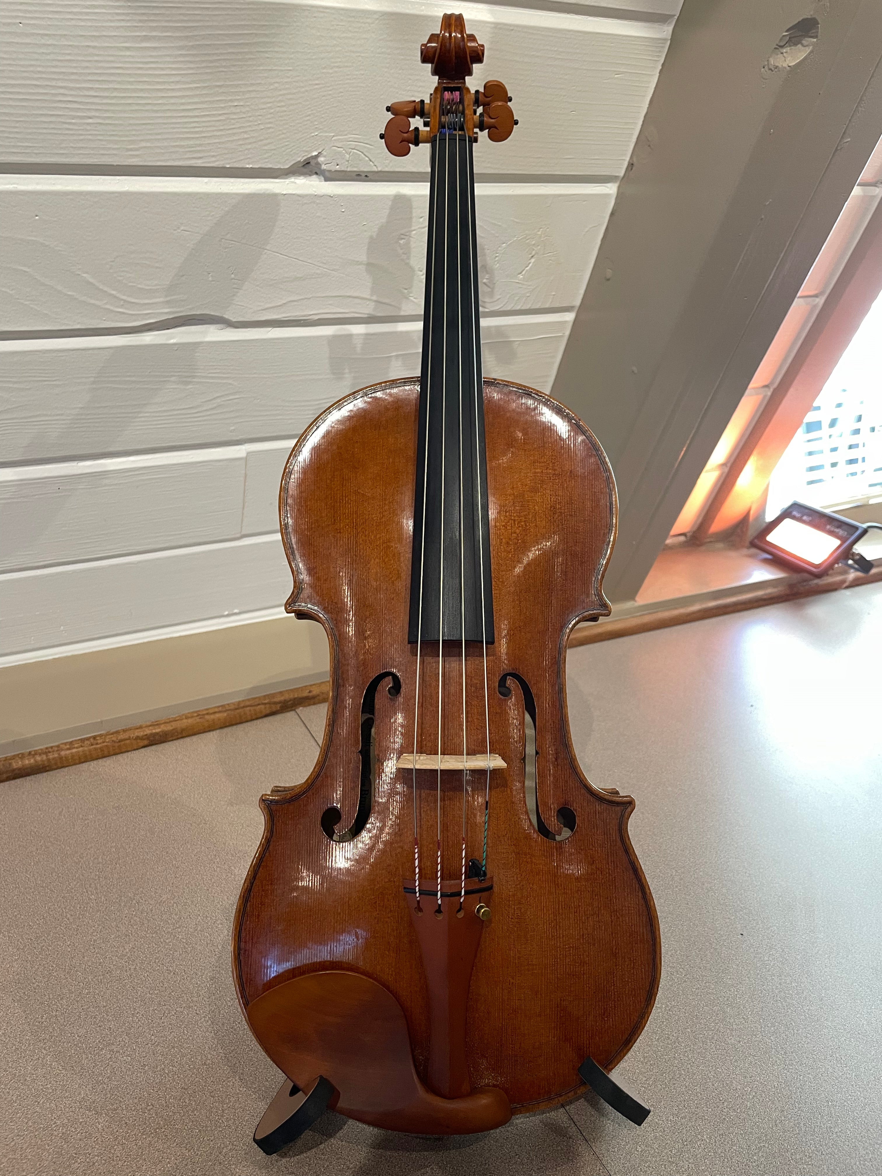 Upgrade 15.5" Viola outfit