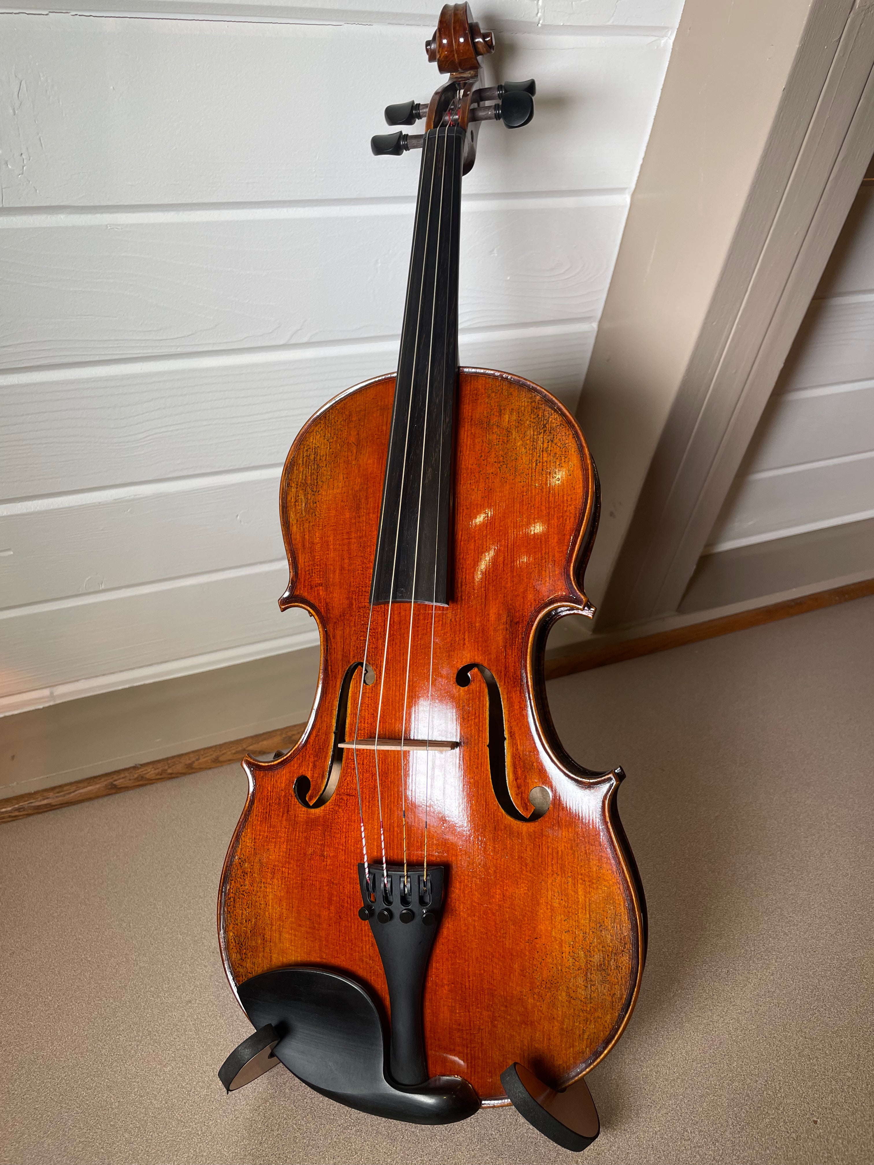 16" Viola Outfit - LS Model ZN