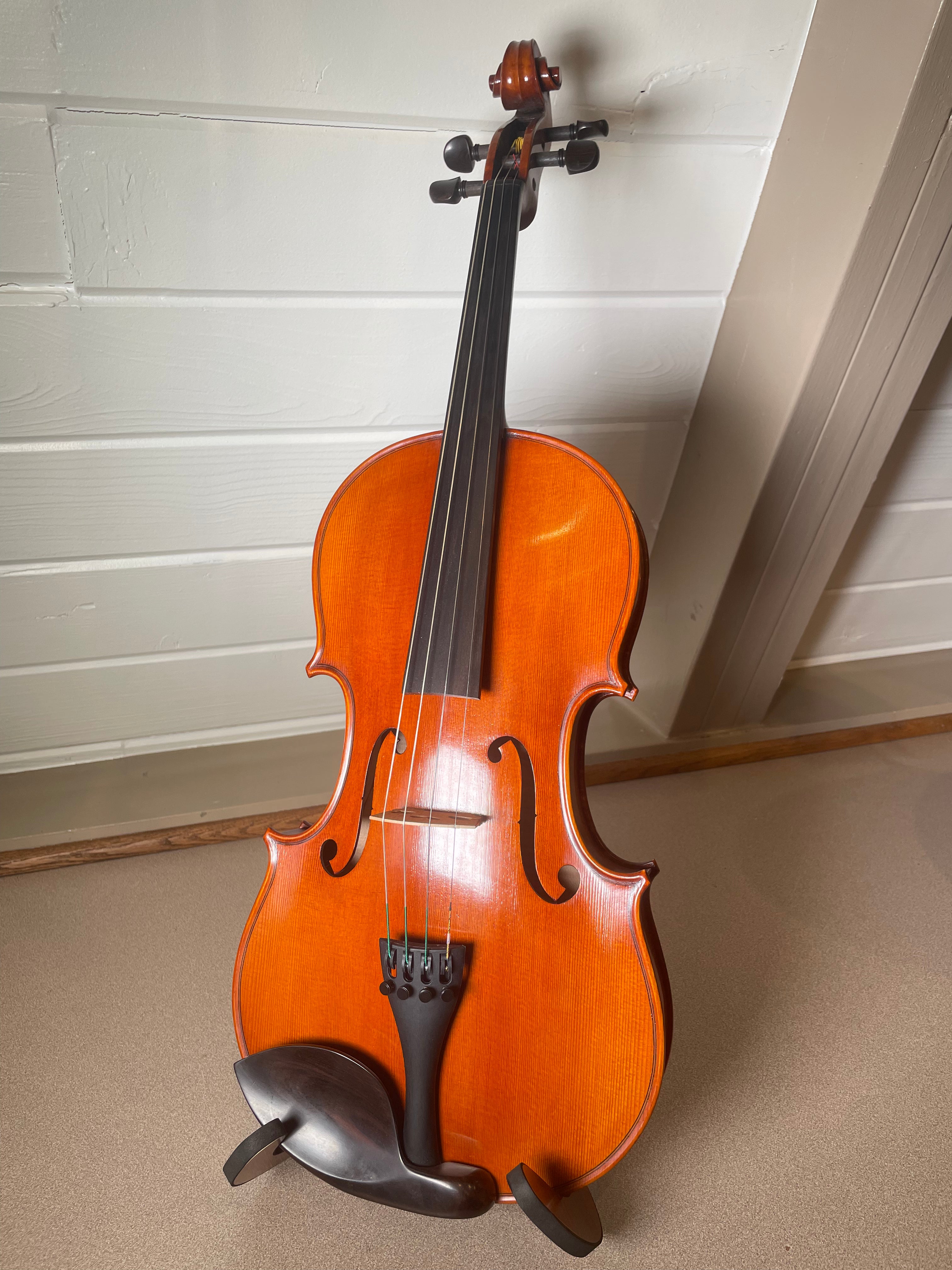 16.5" Viola Outfit - LS Model DT