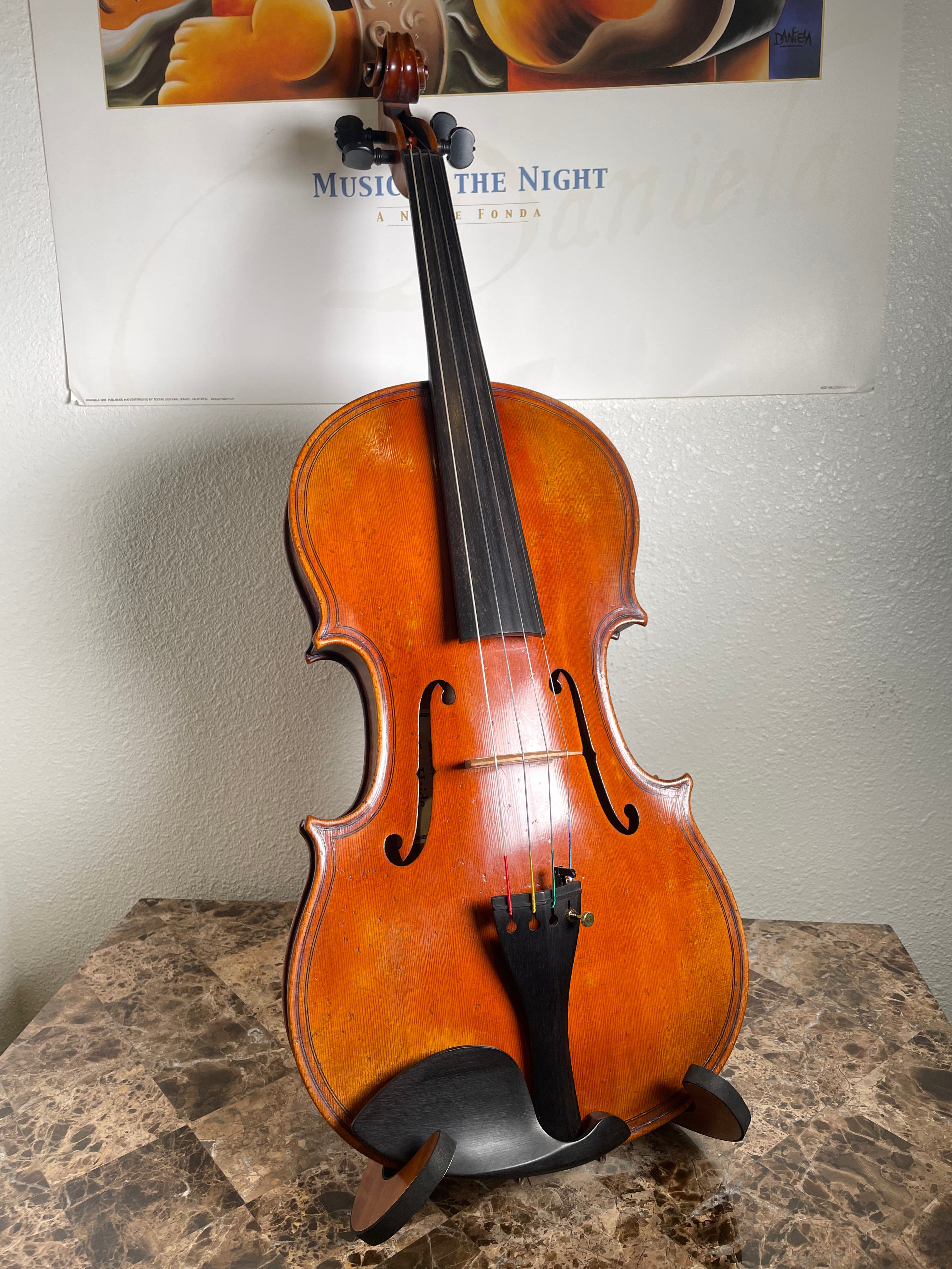 16.5" Viola Outfit - Jay Haide (Maggini anno 2025)