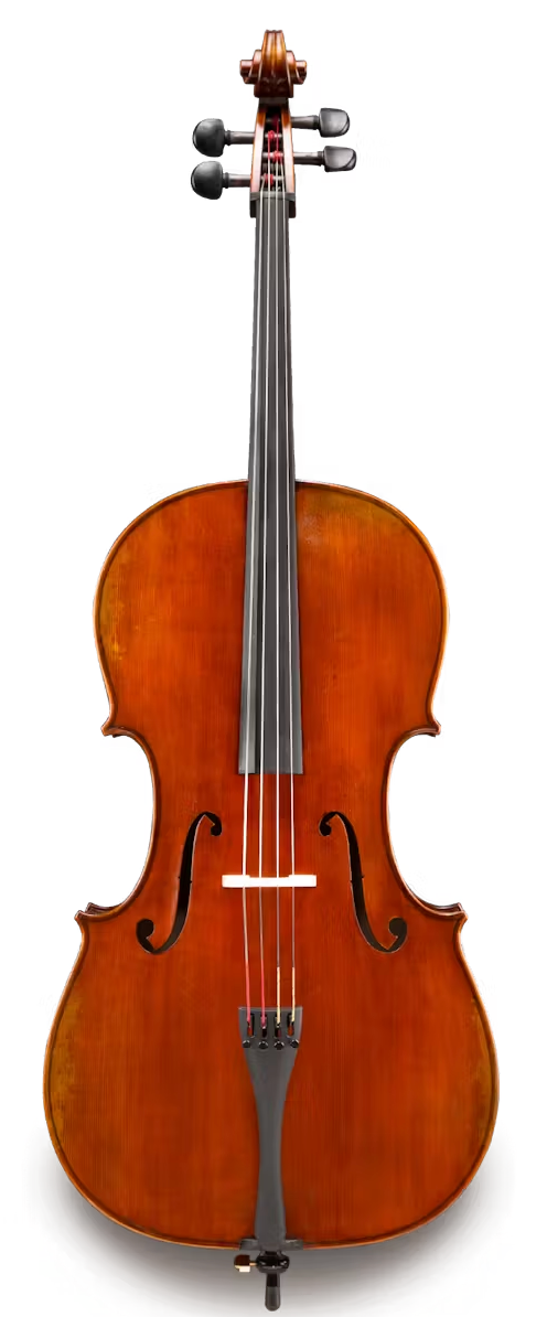 4/4 Cello Outfit - Eastman (Albert Nebel VC601)