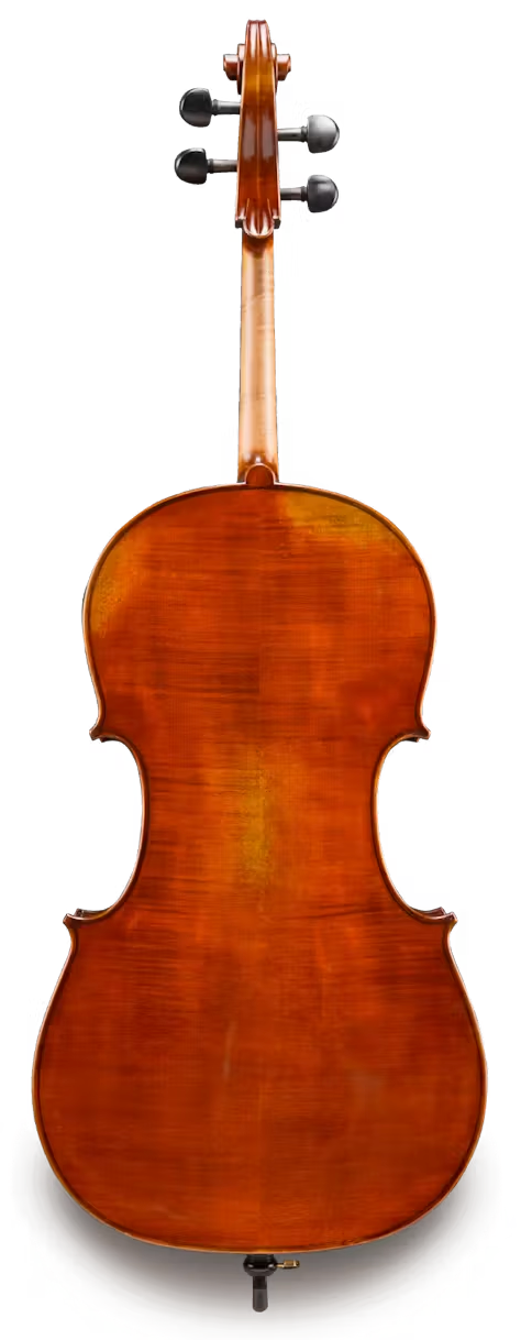 4/4 Cello Outfit - Eastman (Albert Nebel VC601)