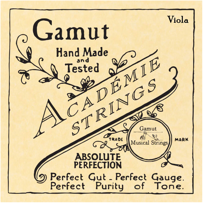 Gamut - Academie Strings | Viola