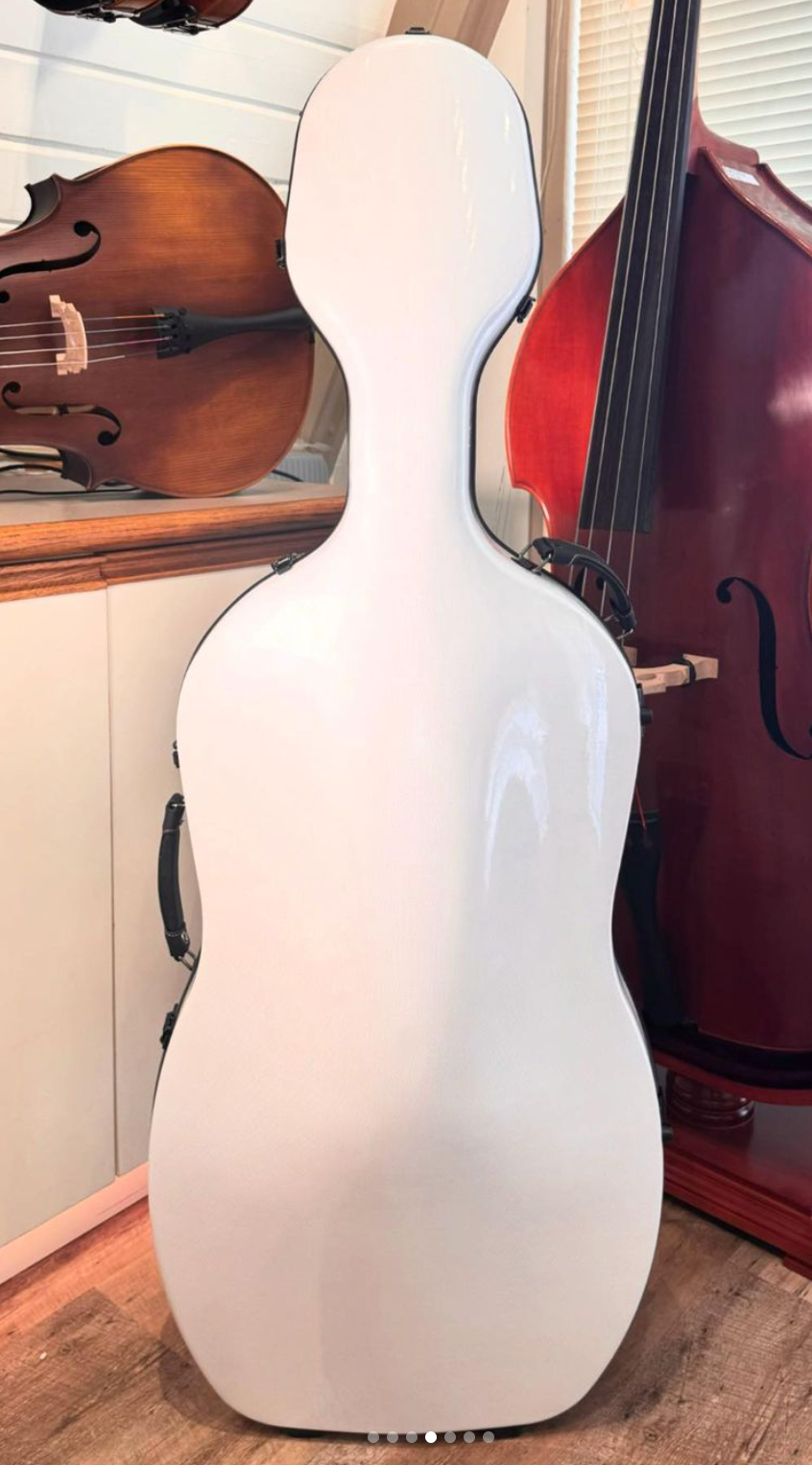 4/4 Cello Case - LS Model