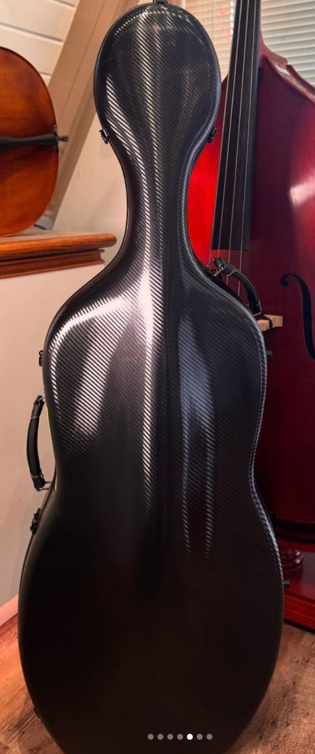 4/4 Cello Case - LS Model